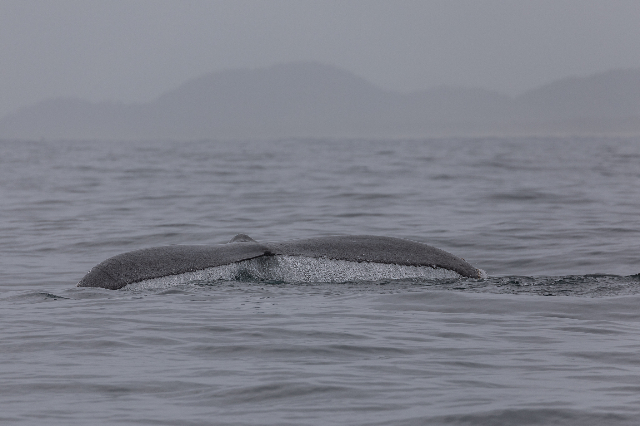 宁波海洋职业技术学校2023年怎么样好不好