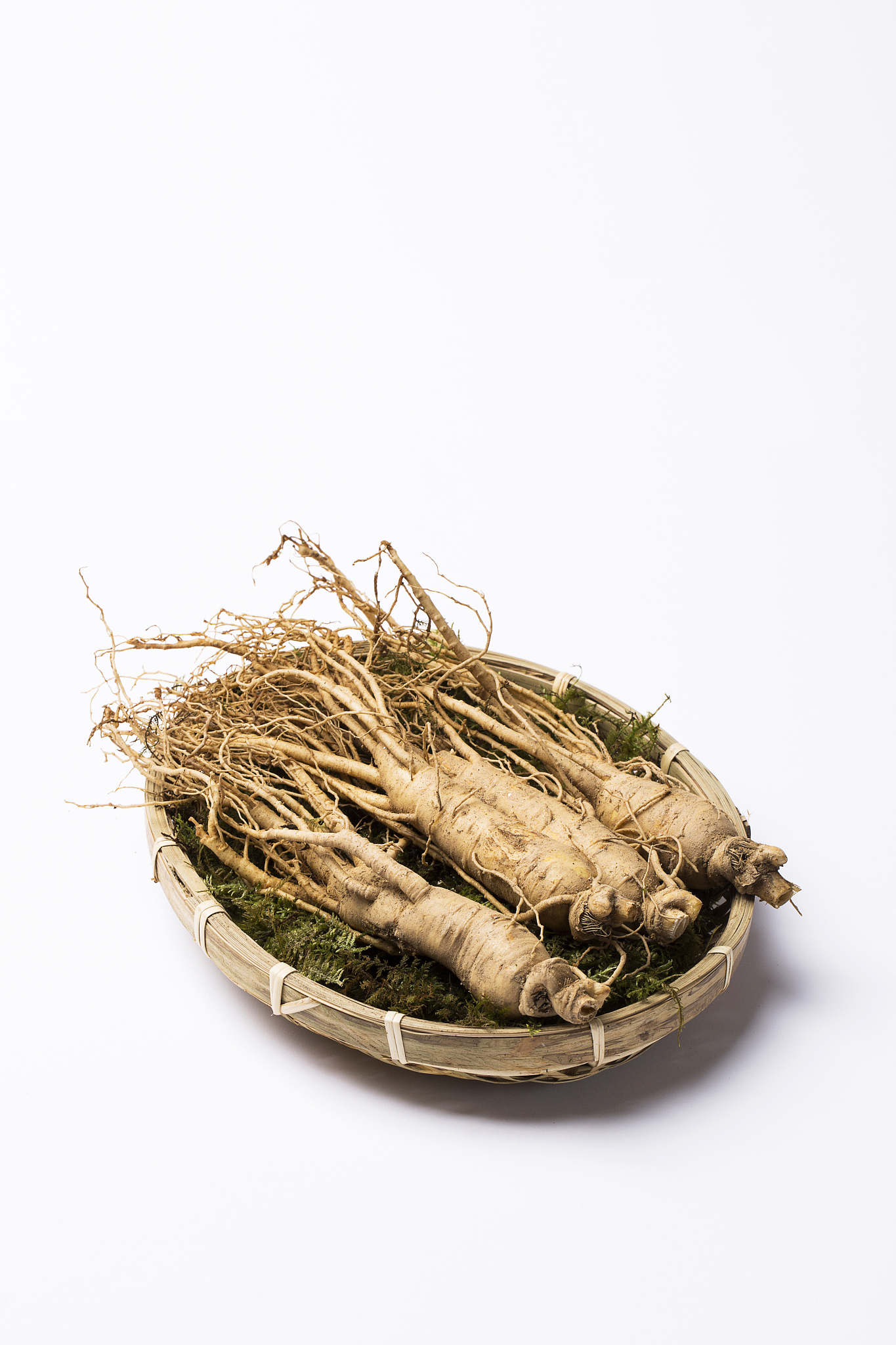 korean ginseng - isolated on white