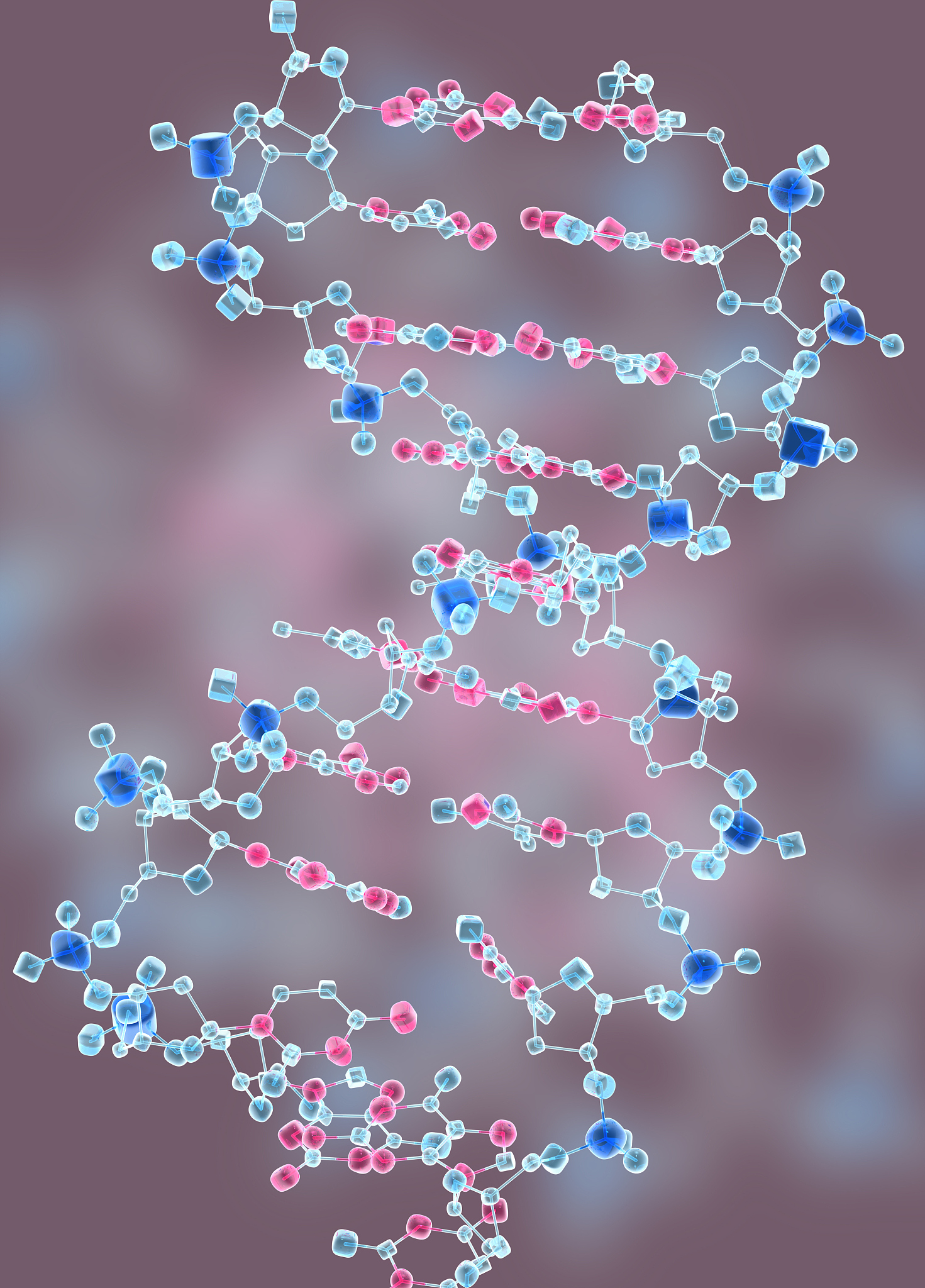 构成核酸链亲水骨架的是