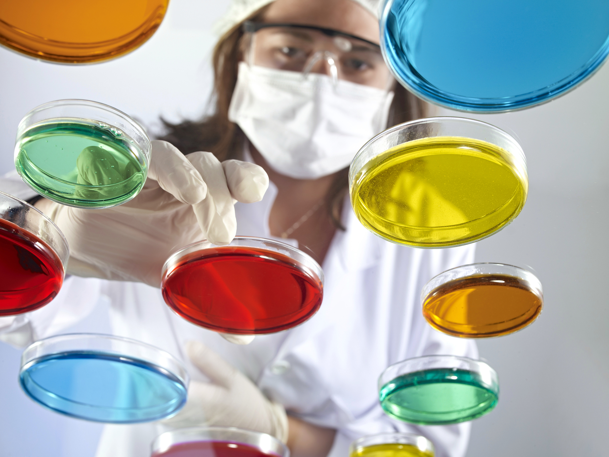 petri dishes