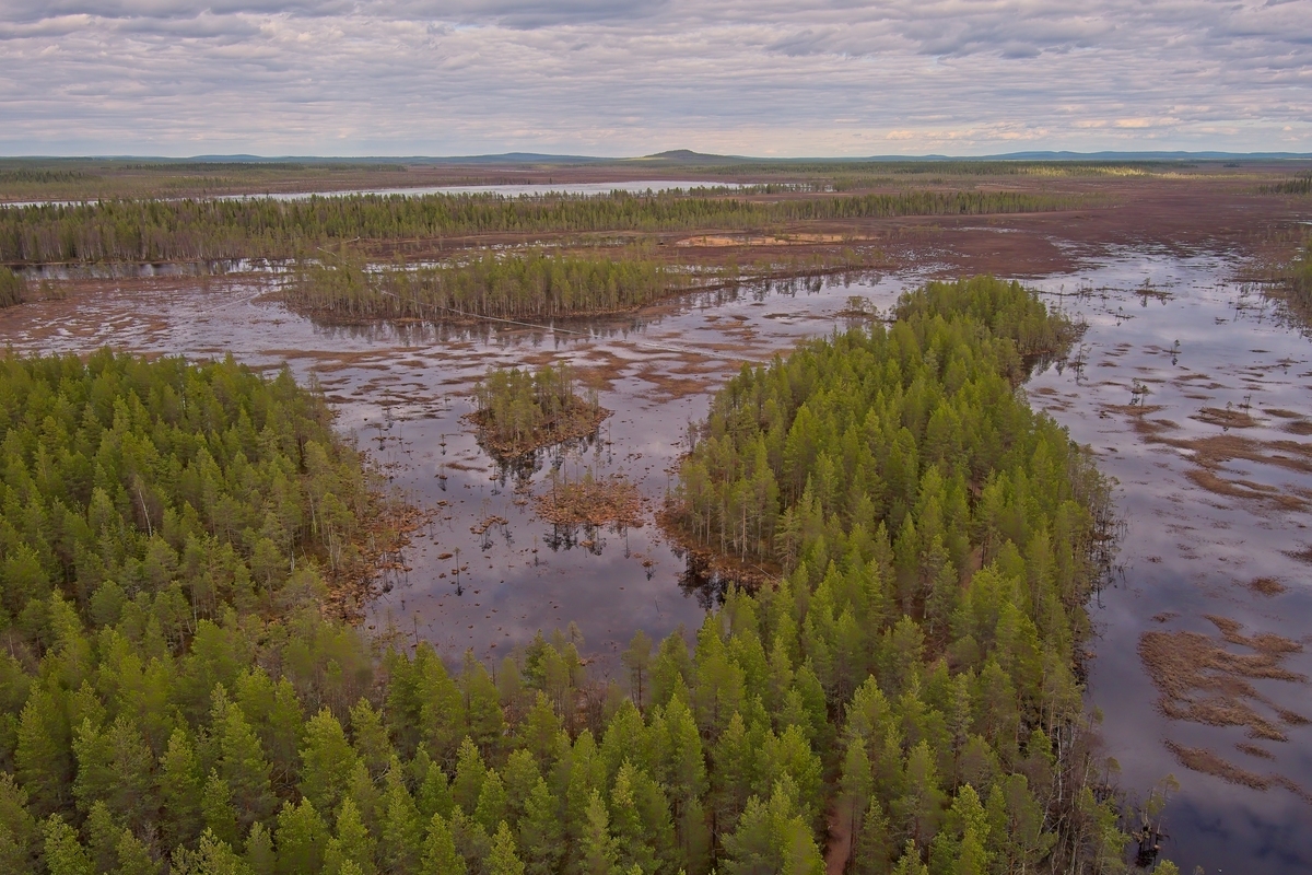 河南省林业局：守护绿水青山，推动生态文明建设