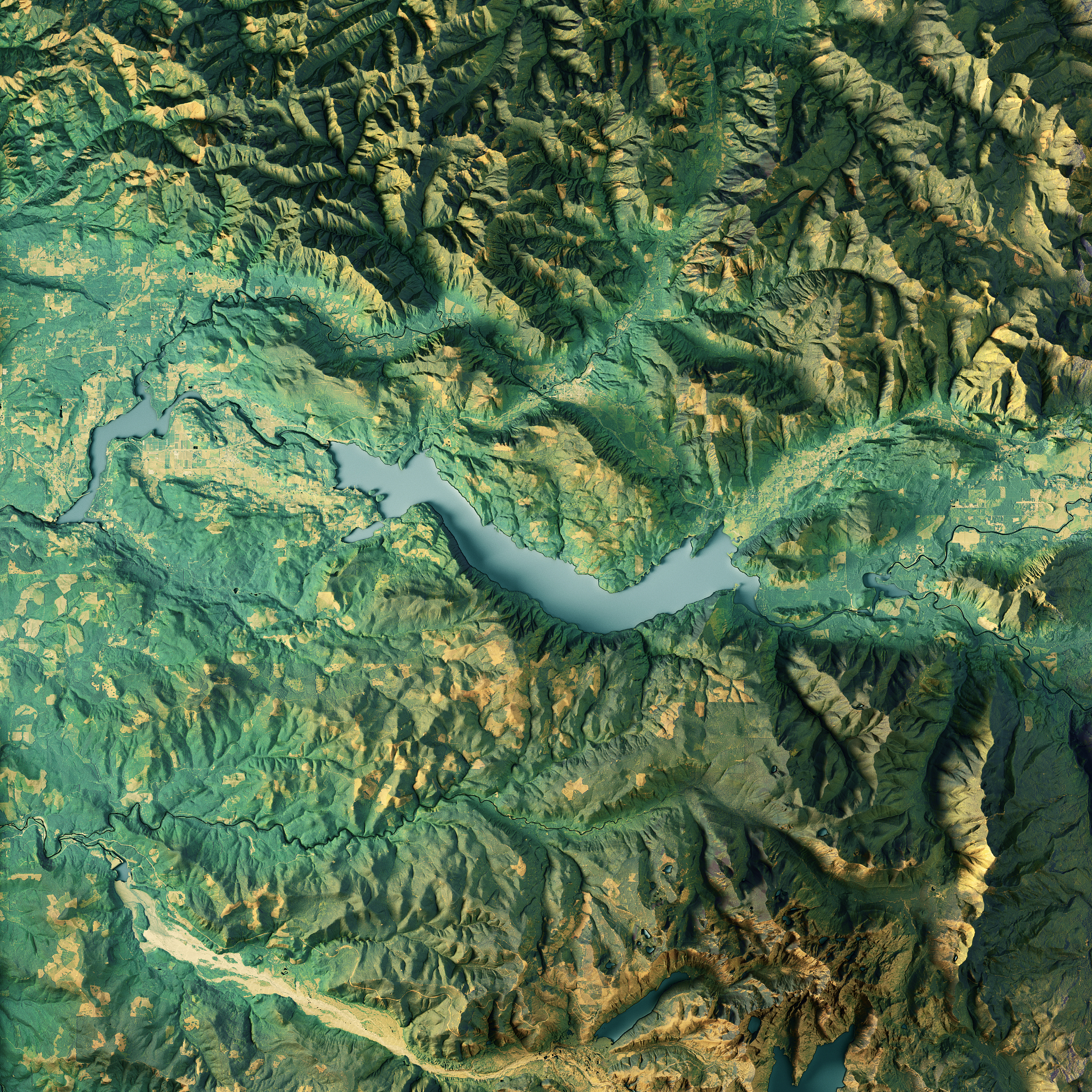 riffe lake 3d render topographic map color