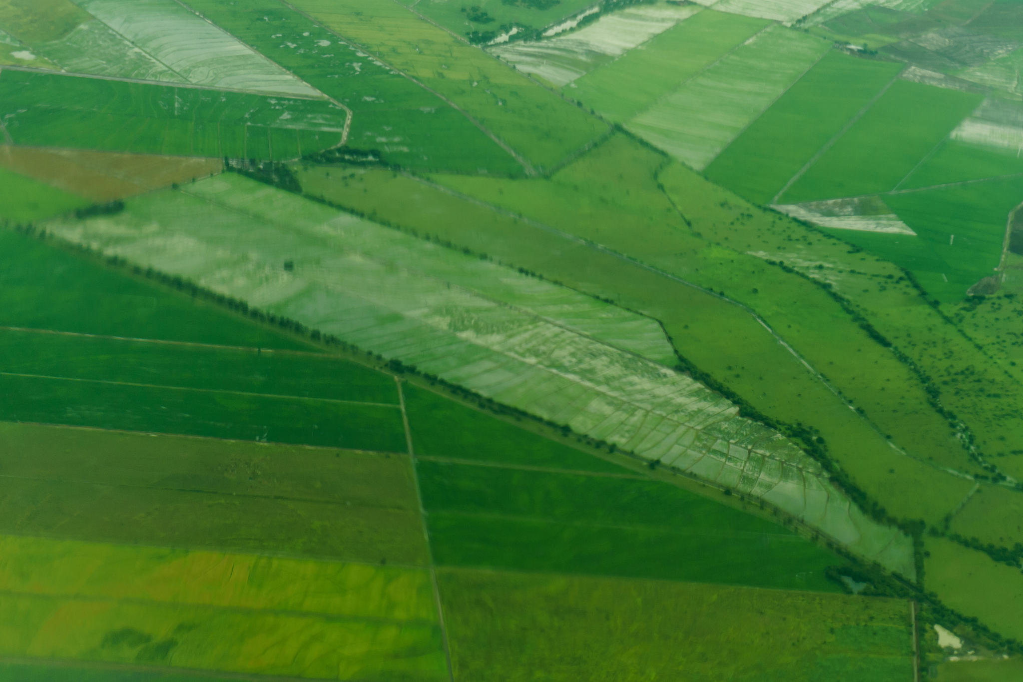 freshly plowed and sowed farming land from above.