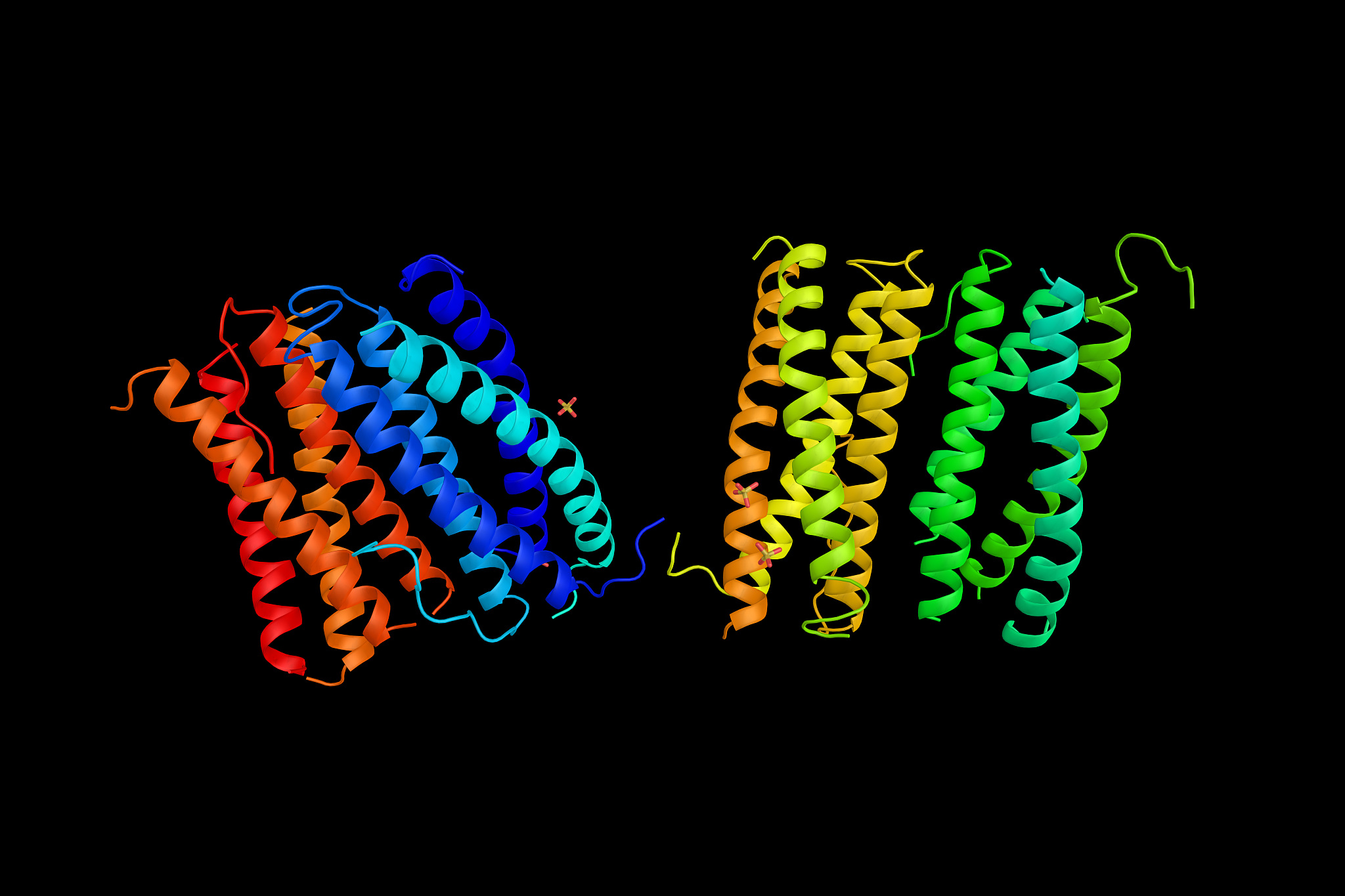 涉及小鼠侧索硬化症动物模型建立的文献有哪些