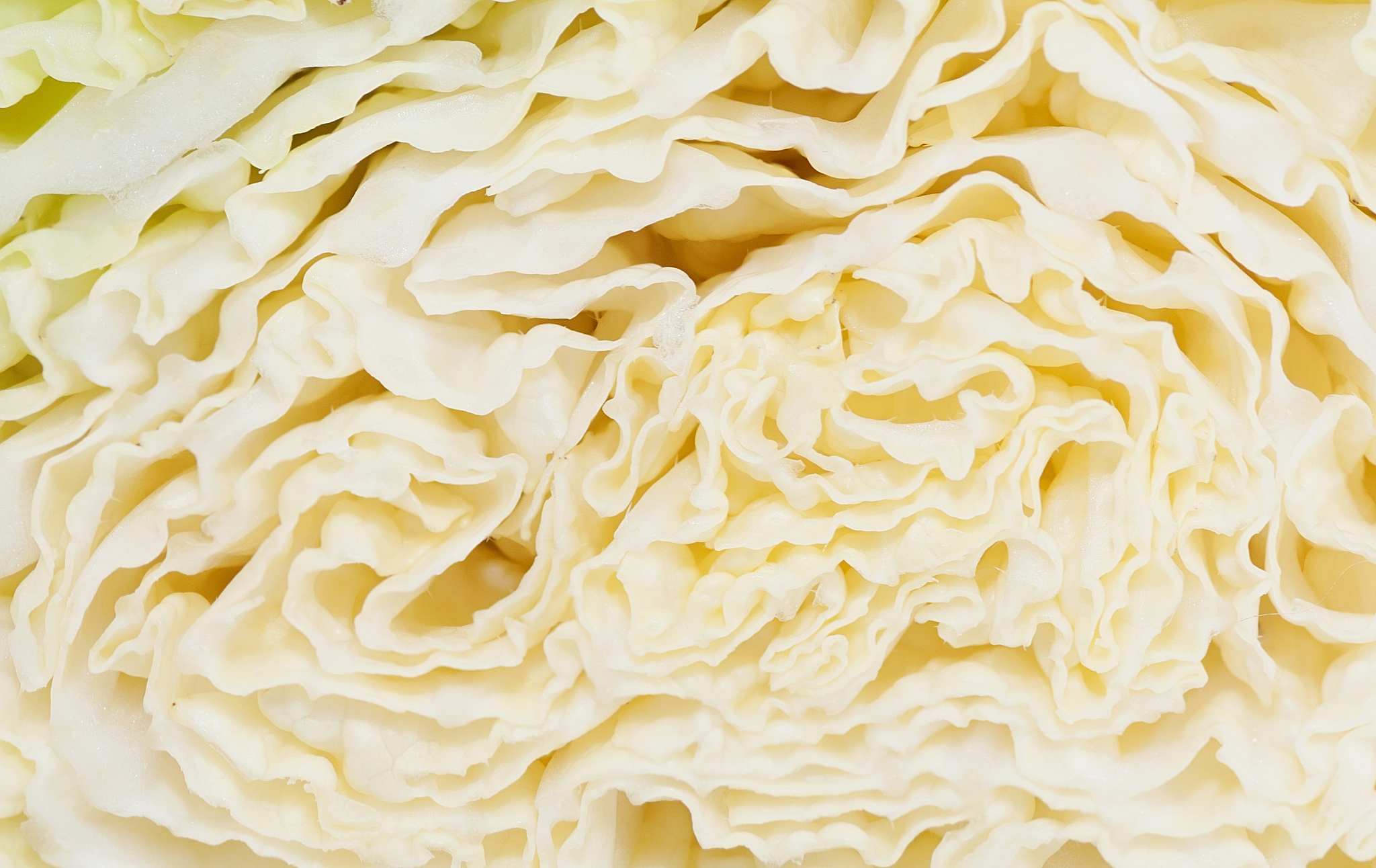 亳州职业技术学院食品生物技术专业怎么样？ - 优势分析与学习内容介绍