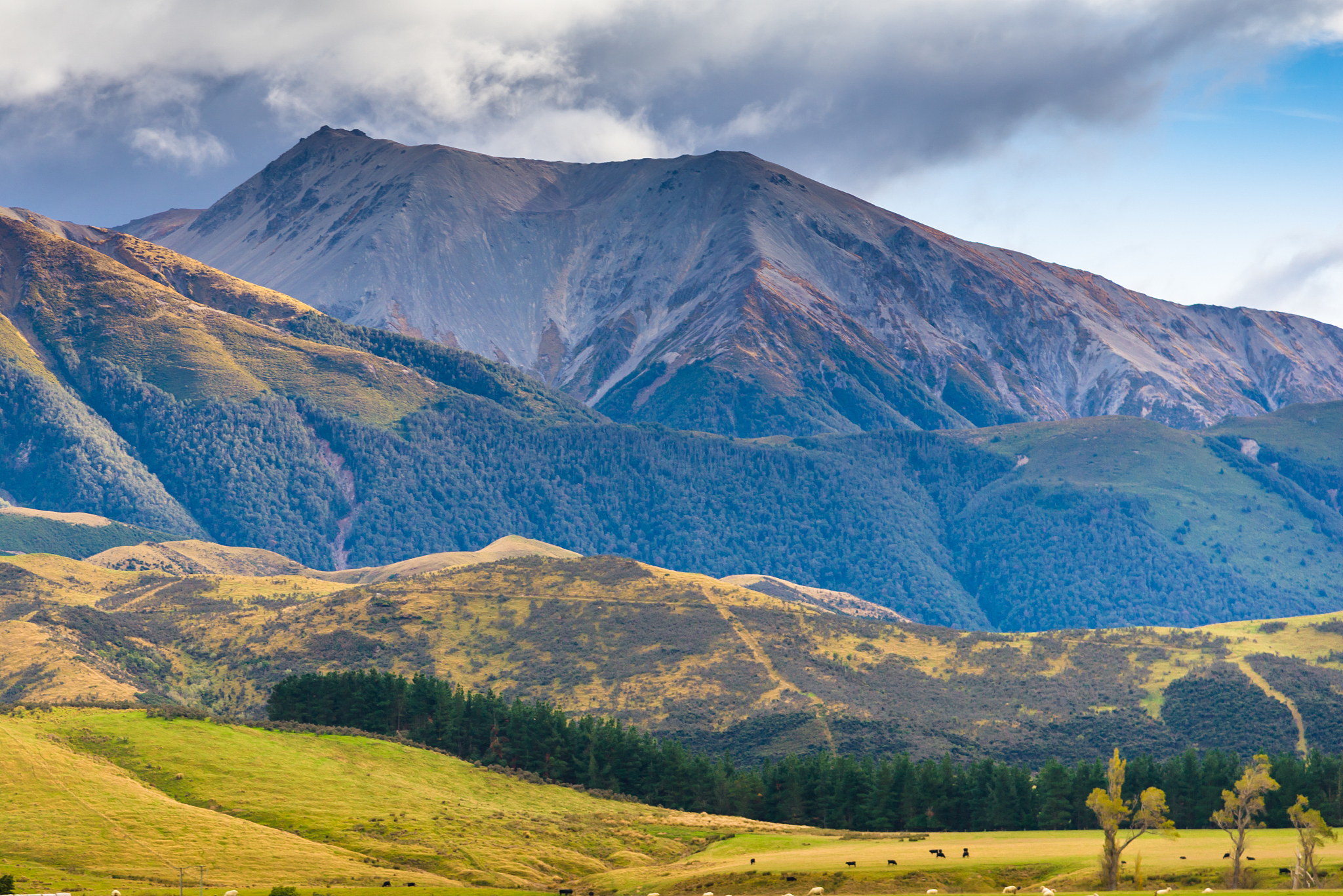 panoramic view nature landscape in south island new zealand