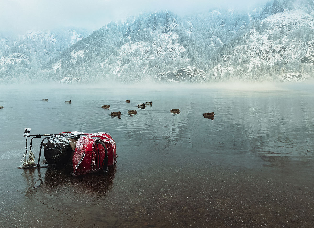 租房论坛管理后台：帖子查询、删除、修改等操作指南