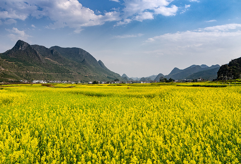 黔西南初中毕业能上中专学校