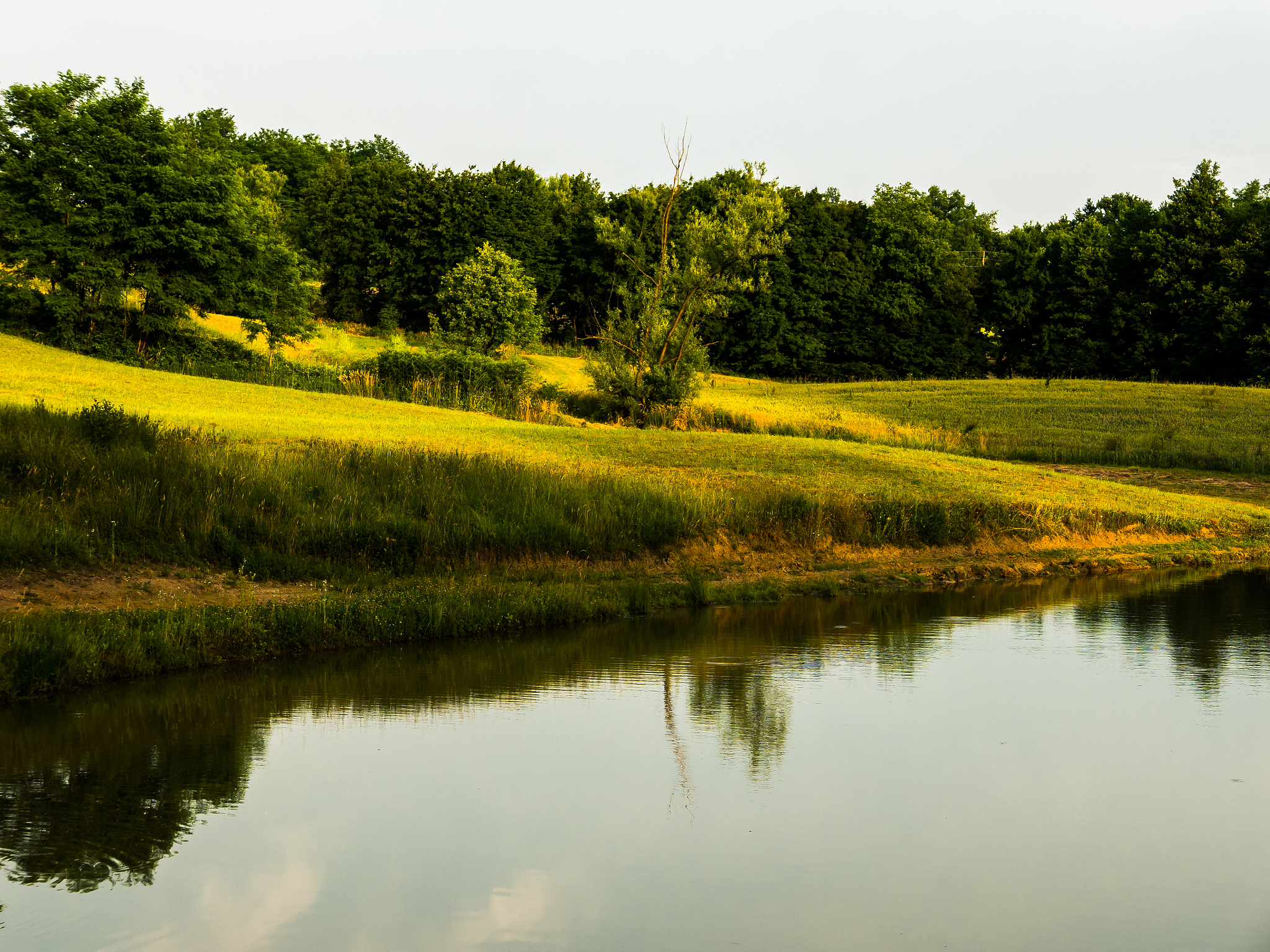 乡村美景：田园风光与宁静致远