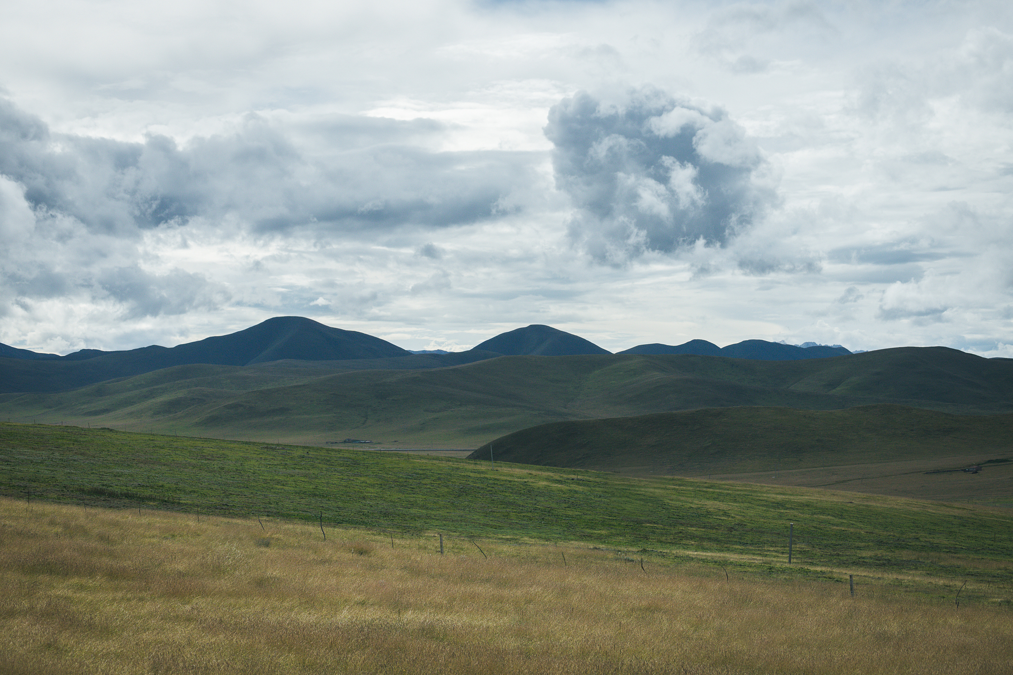 甘南州卫生学校2021年什么专业好就业