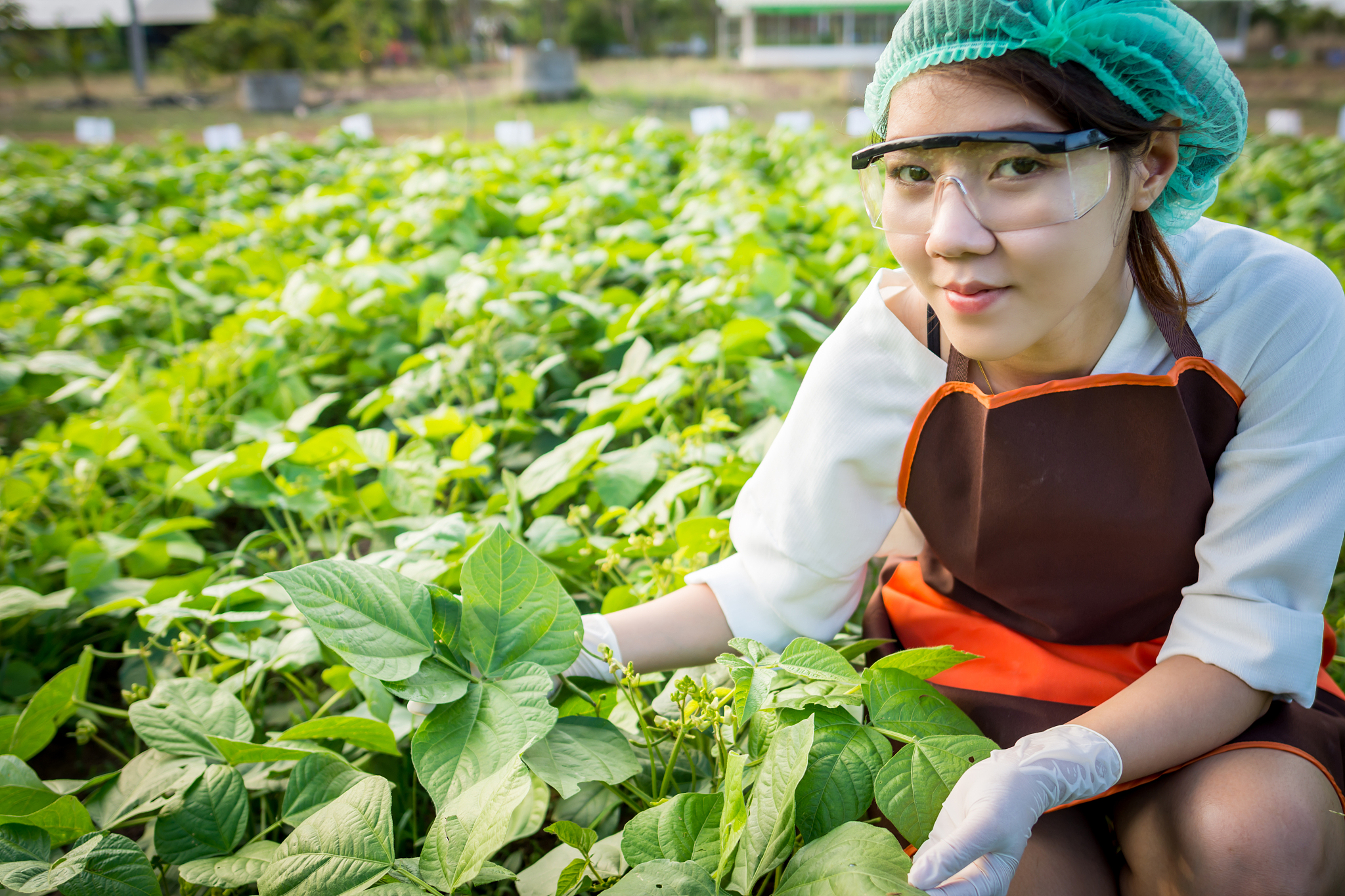 山西农业大学有什么专业有国际经济与贸易专业吗