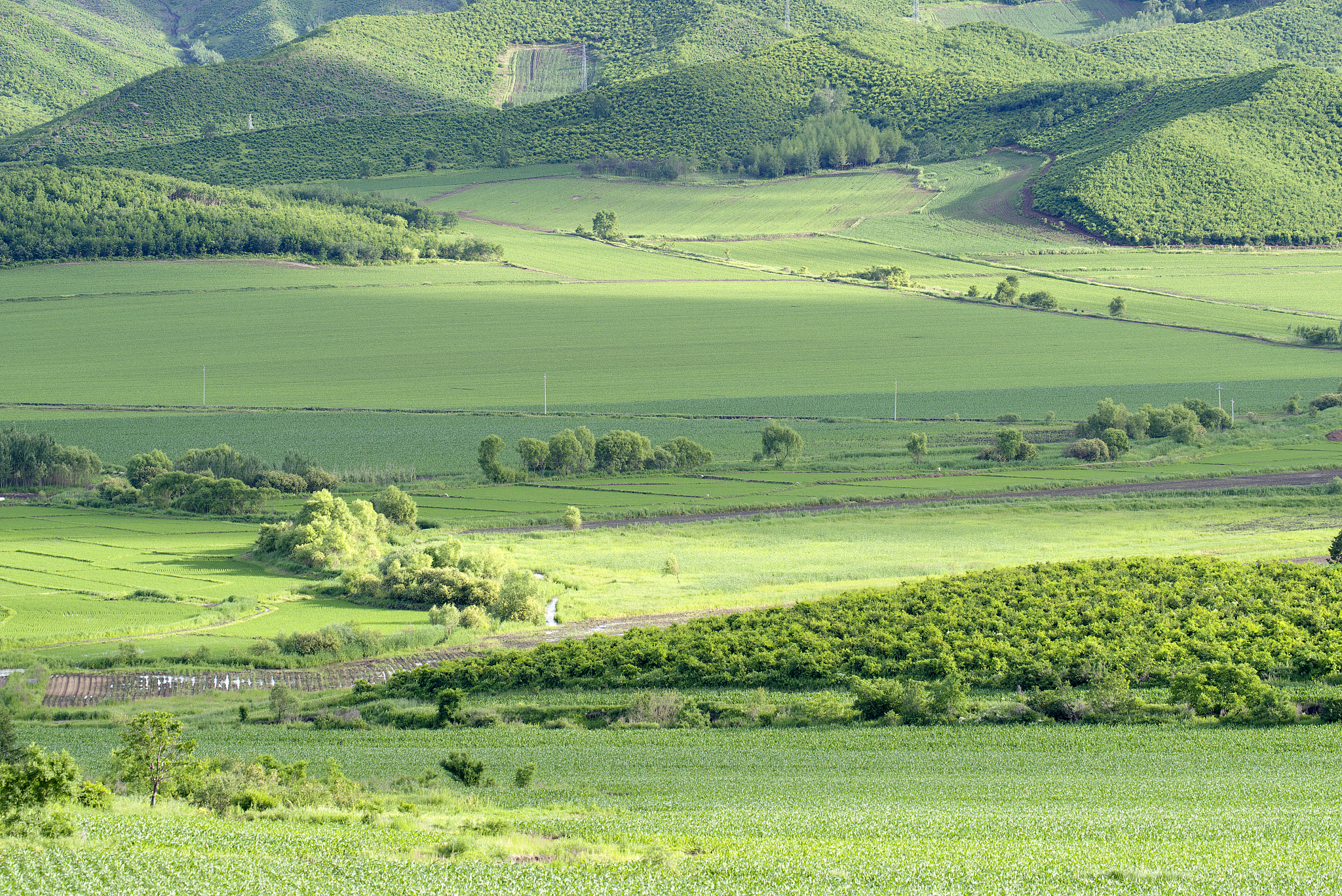 乡镇森林草原资源保护方案：措施、建议与可持续利用