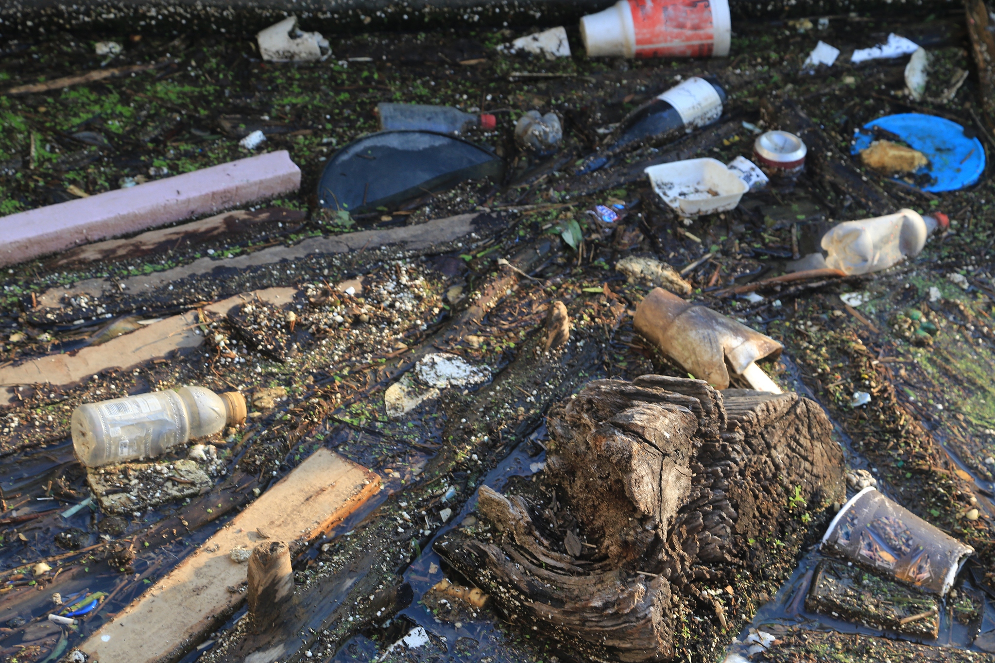 请评价日本排放核废水200字