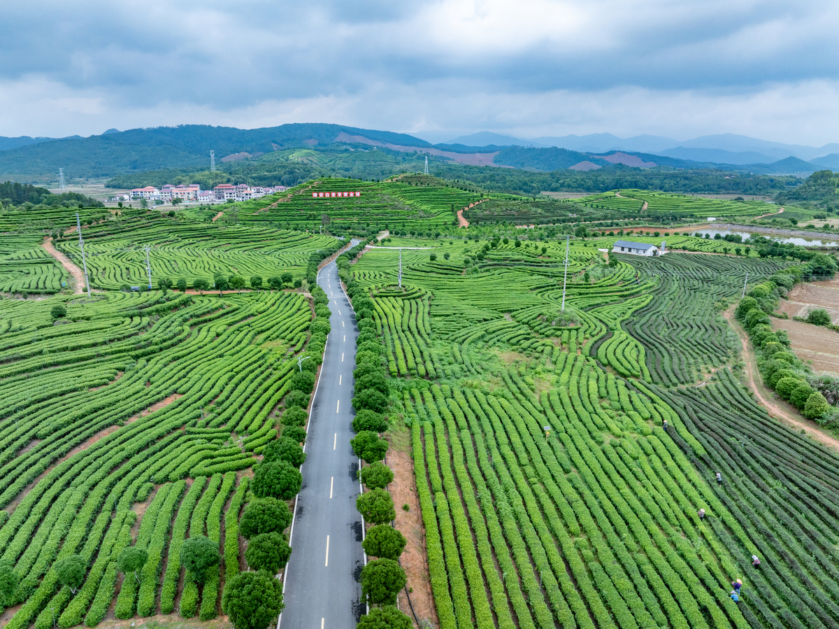 梅州发展特色：农业、工业、文化、旅游