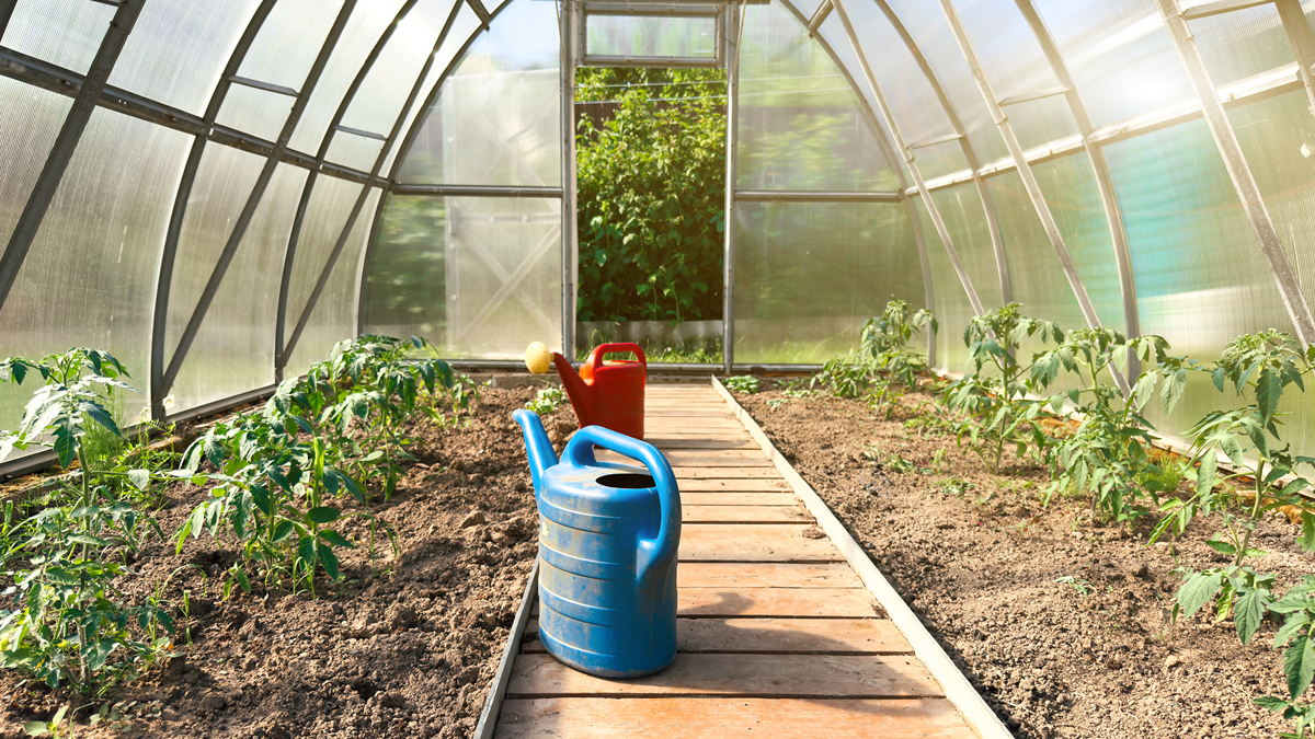 气候智能型农业具体实践案例