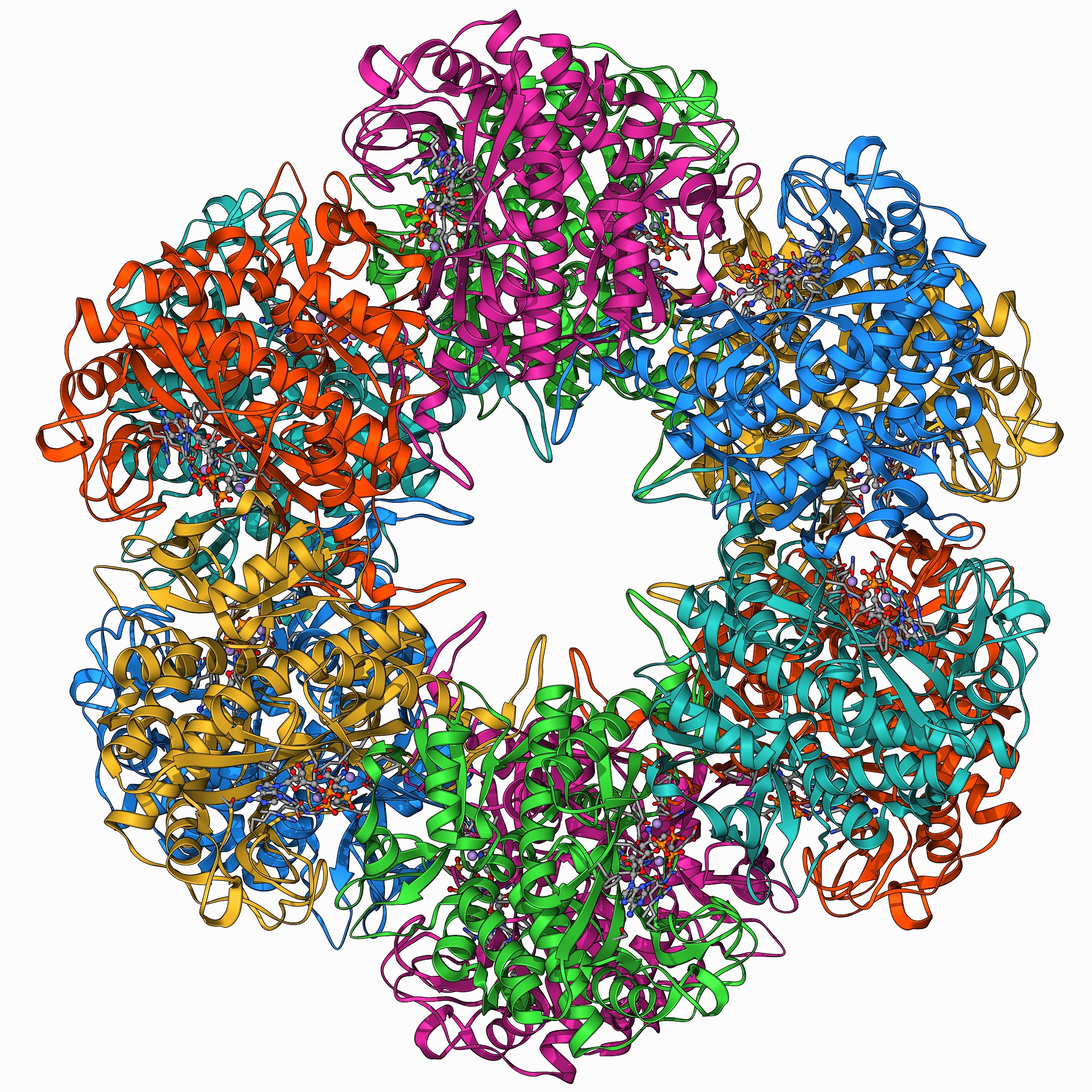 苯丙氨酸解氨酶工程改造提高反式肉桂酸和对香豆酸的生物合成效率