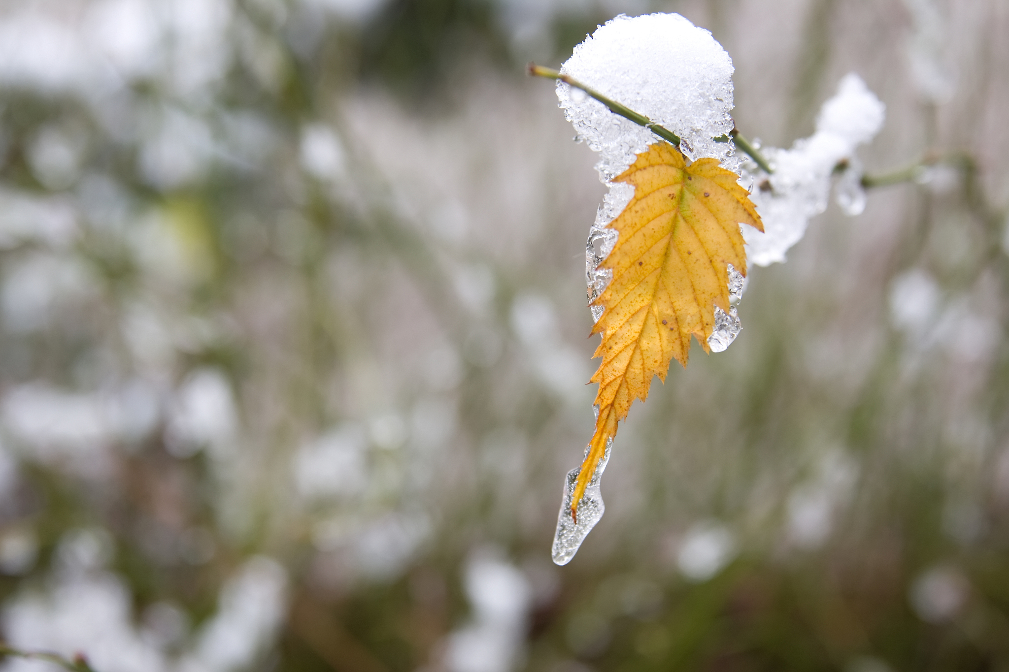 惊蛰：春回大地，气候多变，注意防护