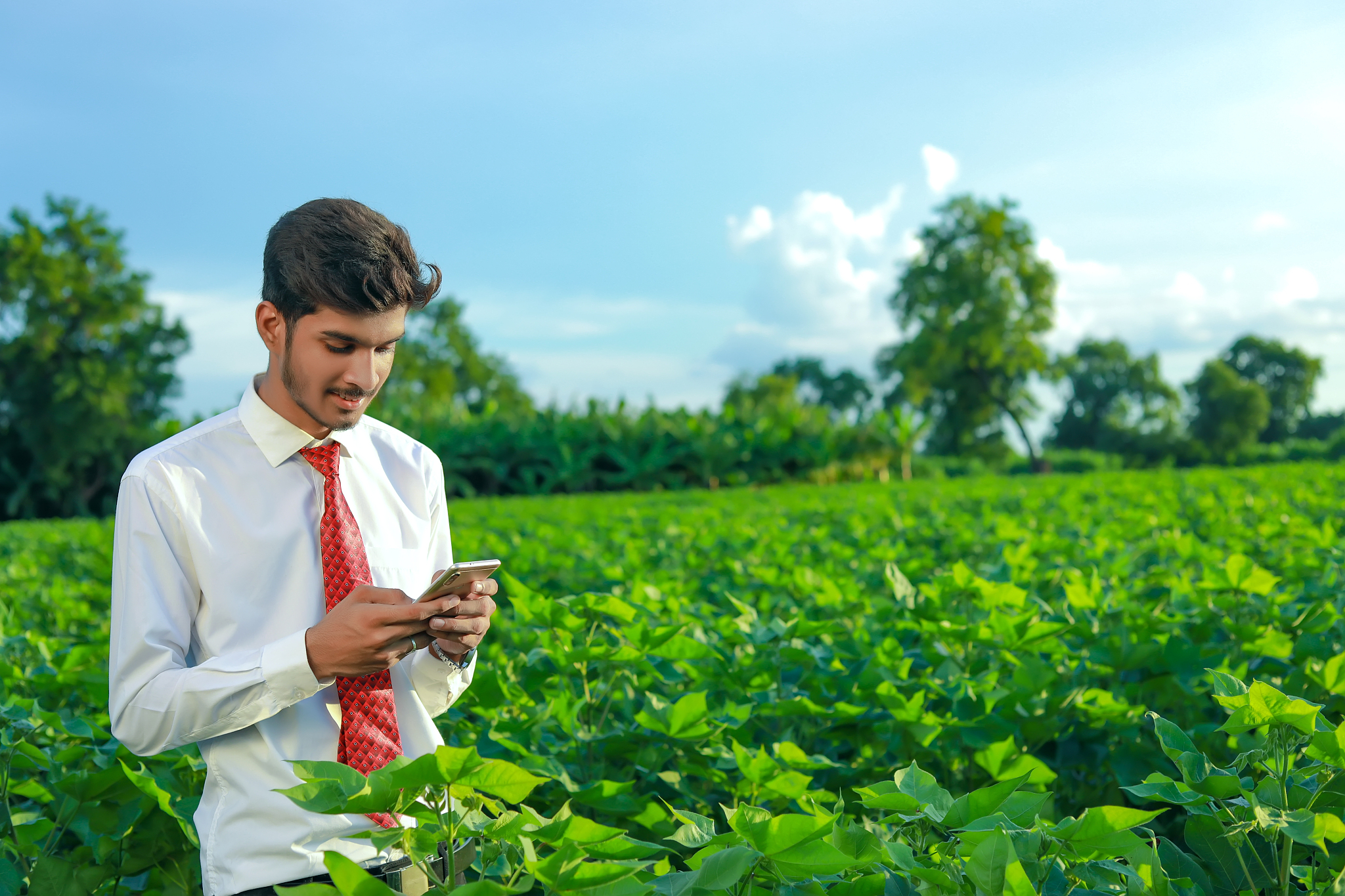 重庆青年职业技术学院社会工作专业就业方向：未来职业发展新机遇