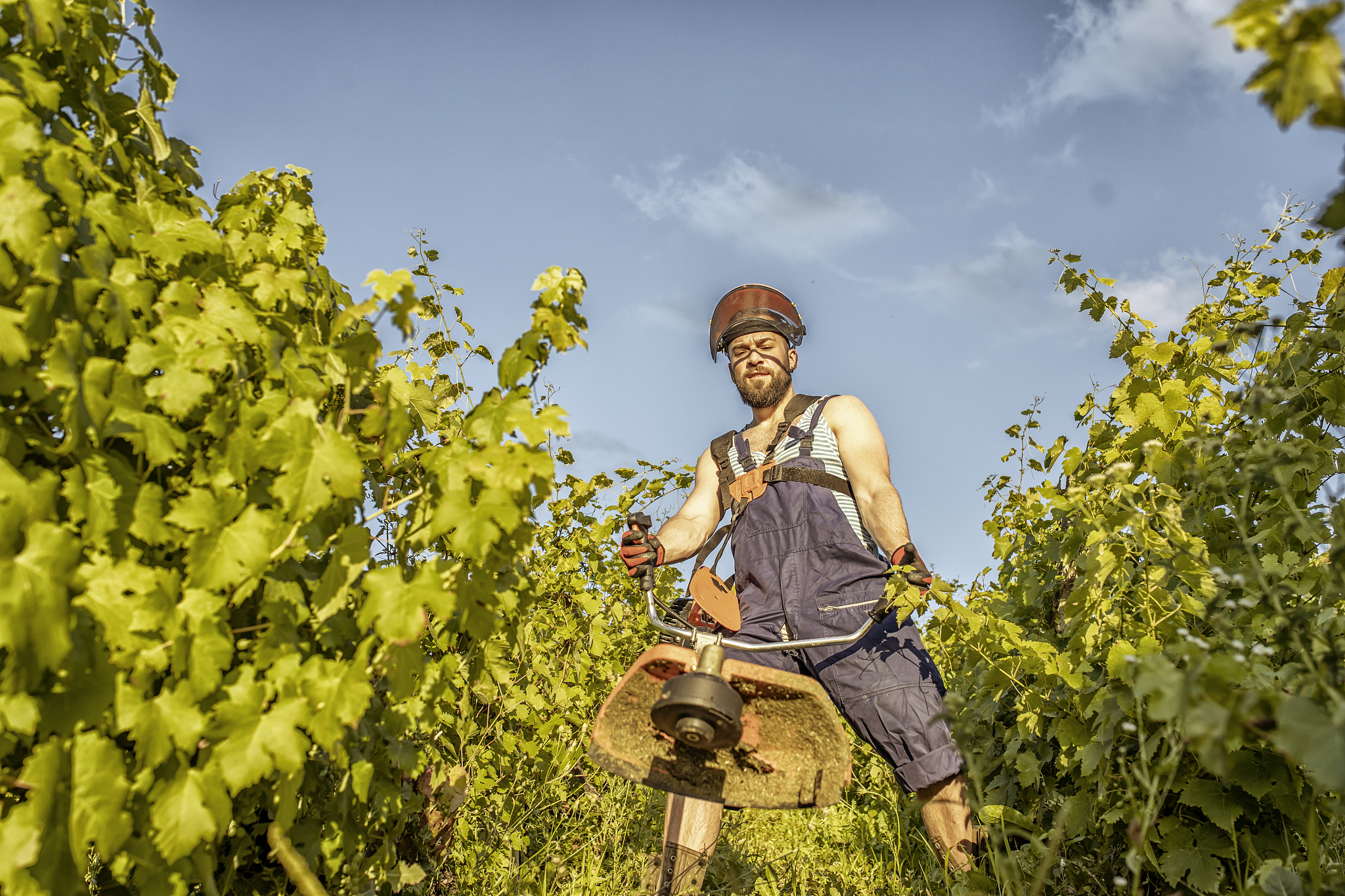 曲靖农业学校2019年五年制高职大专招生报读条件