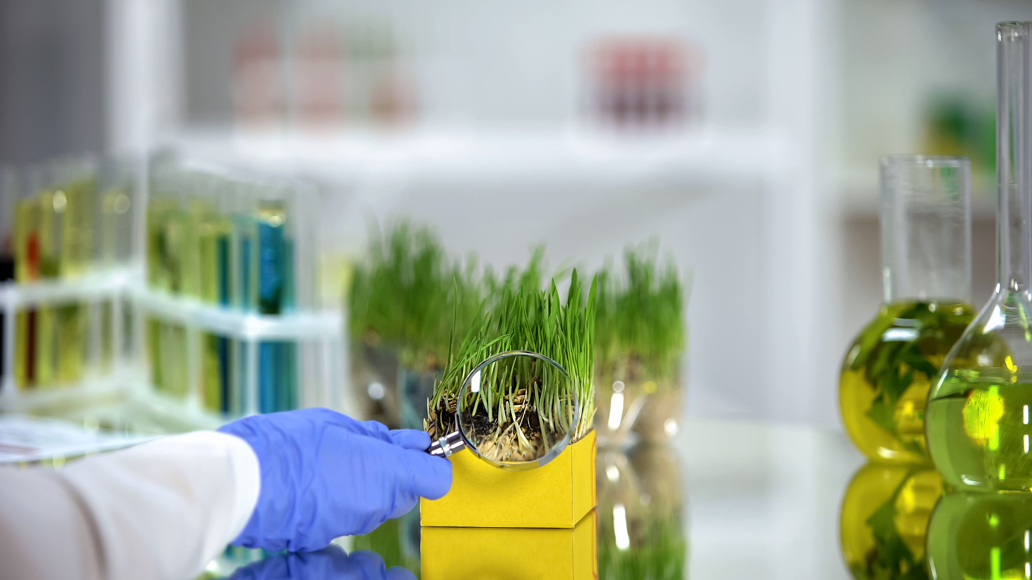 铃芽之旅：冒险、成长与自我发现的旅程