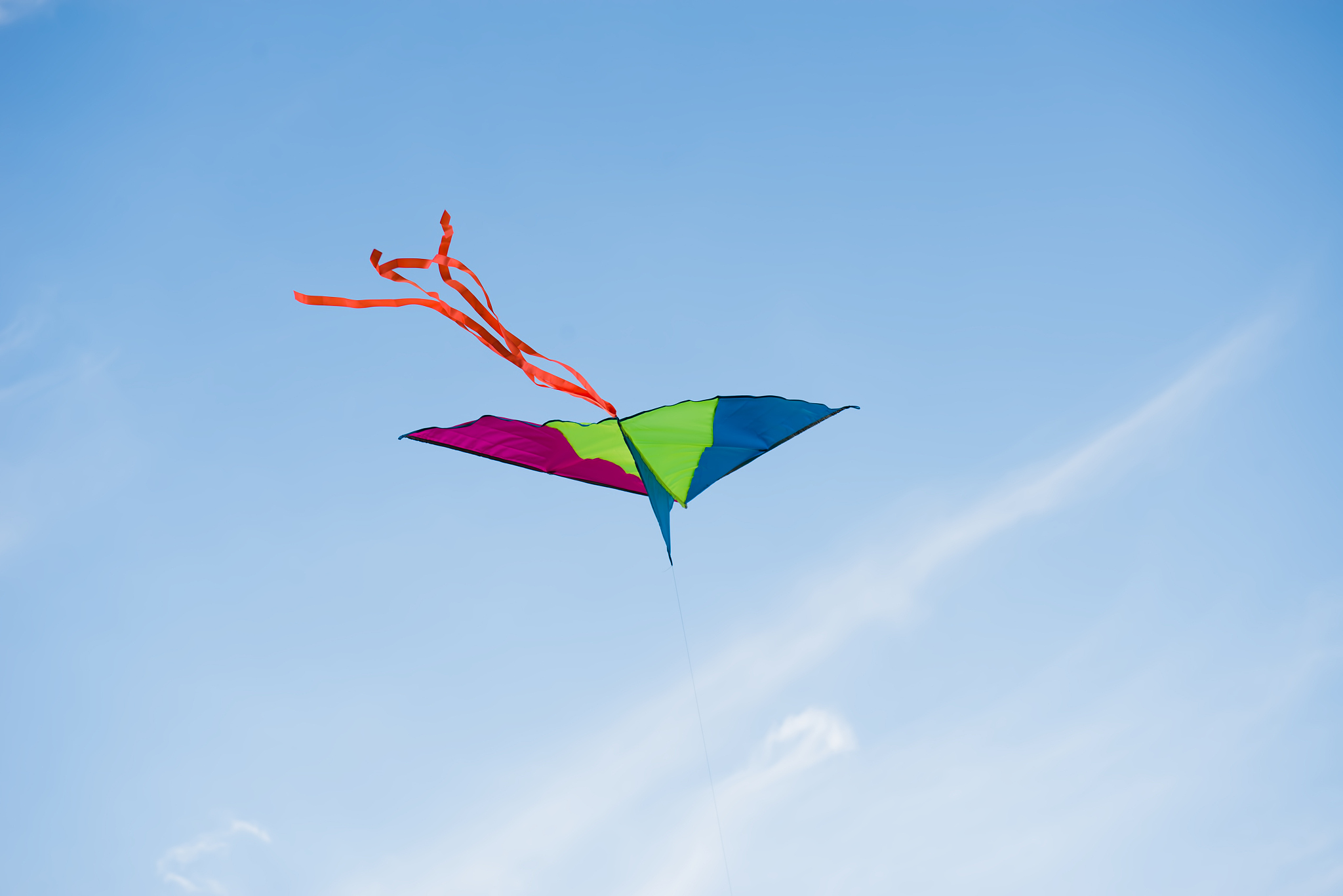 kite in the sky