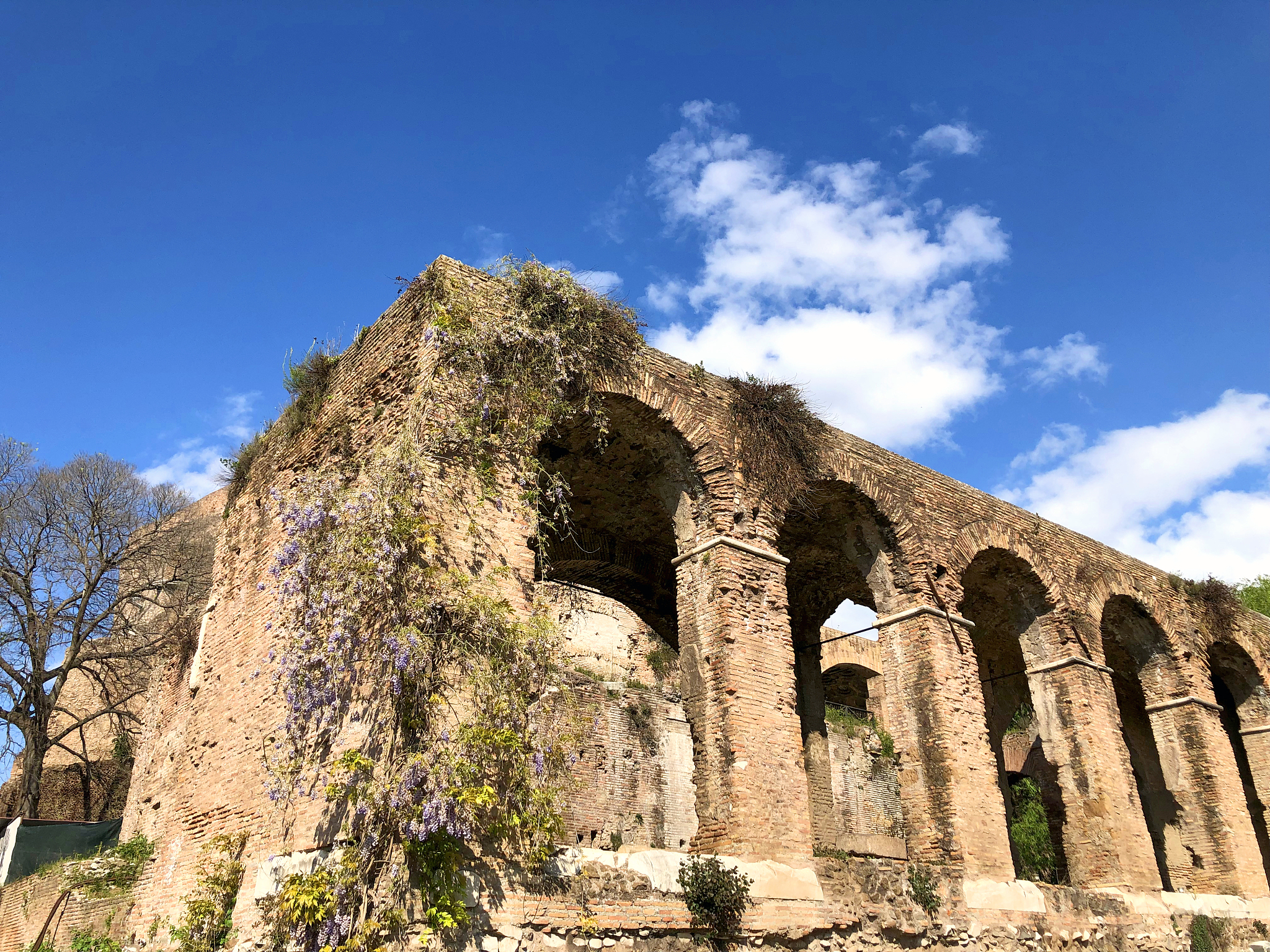 ruins of the church