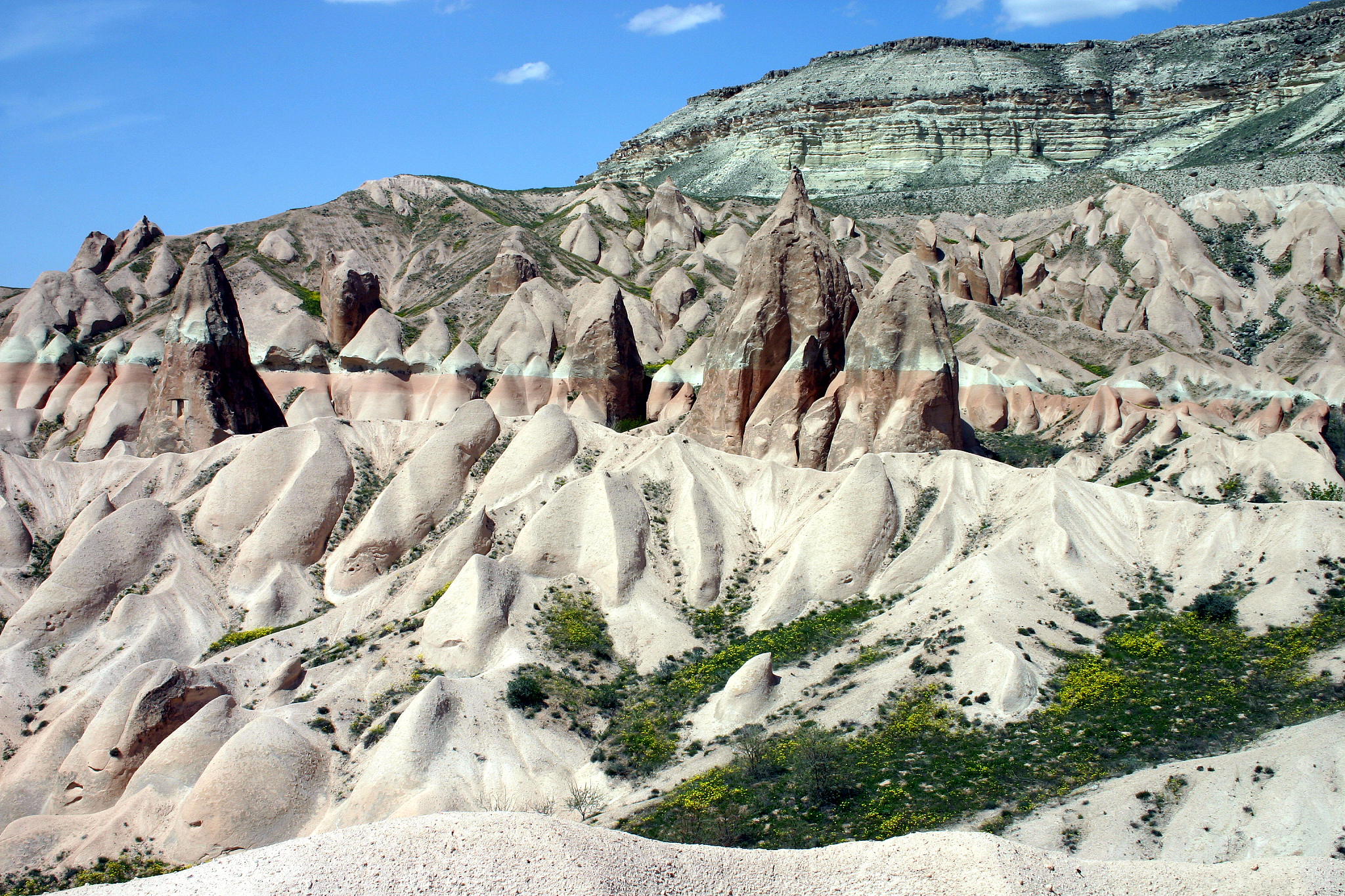 rose valley