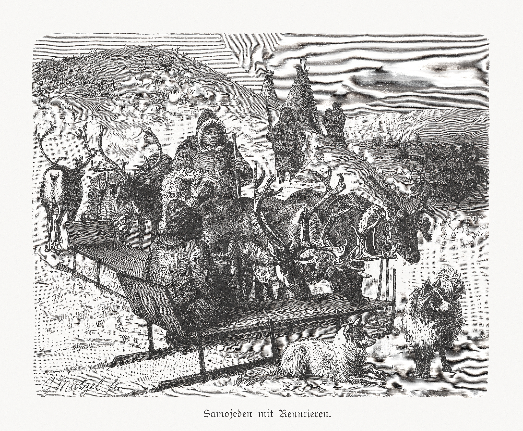 1984 vs 动物农场：奥威尔反乌托邦作品对比