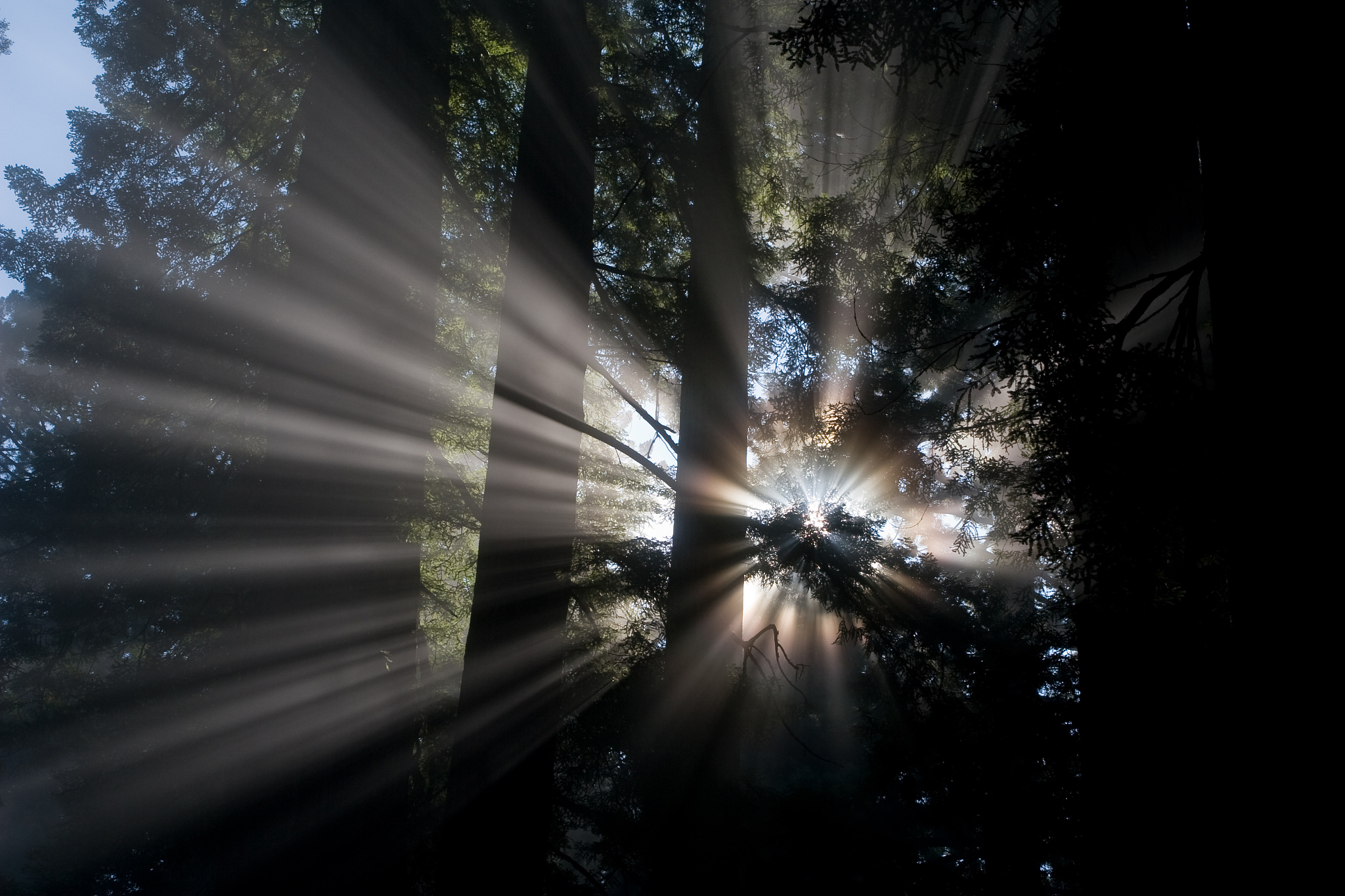 用唯美的意境形容男子在光束映射下像碎片一样消散的摄影图片