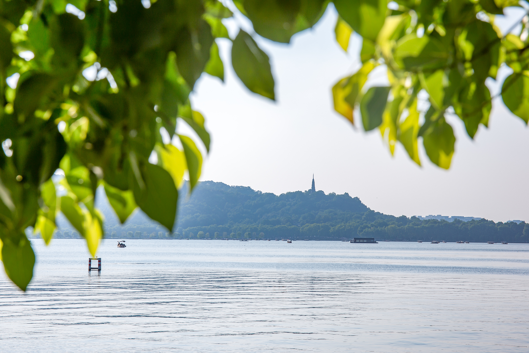 写一篇赞美杭州西湖的文章