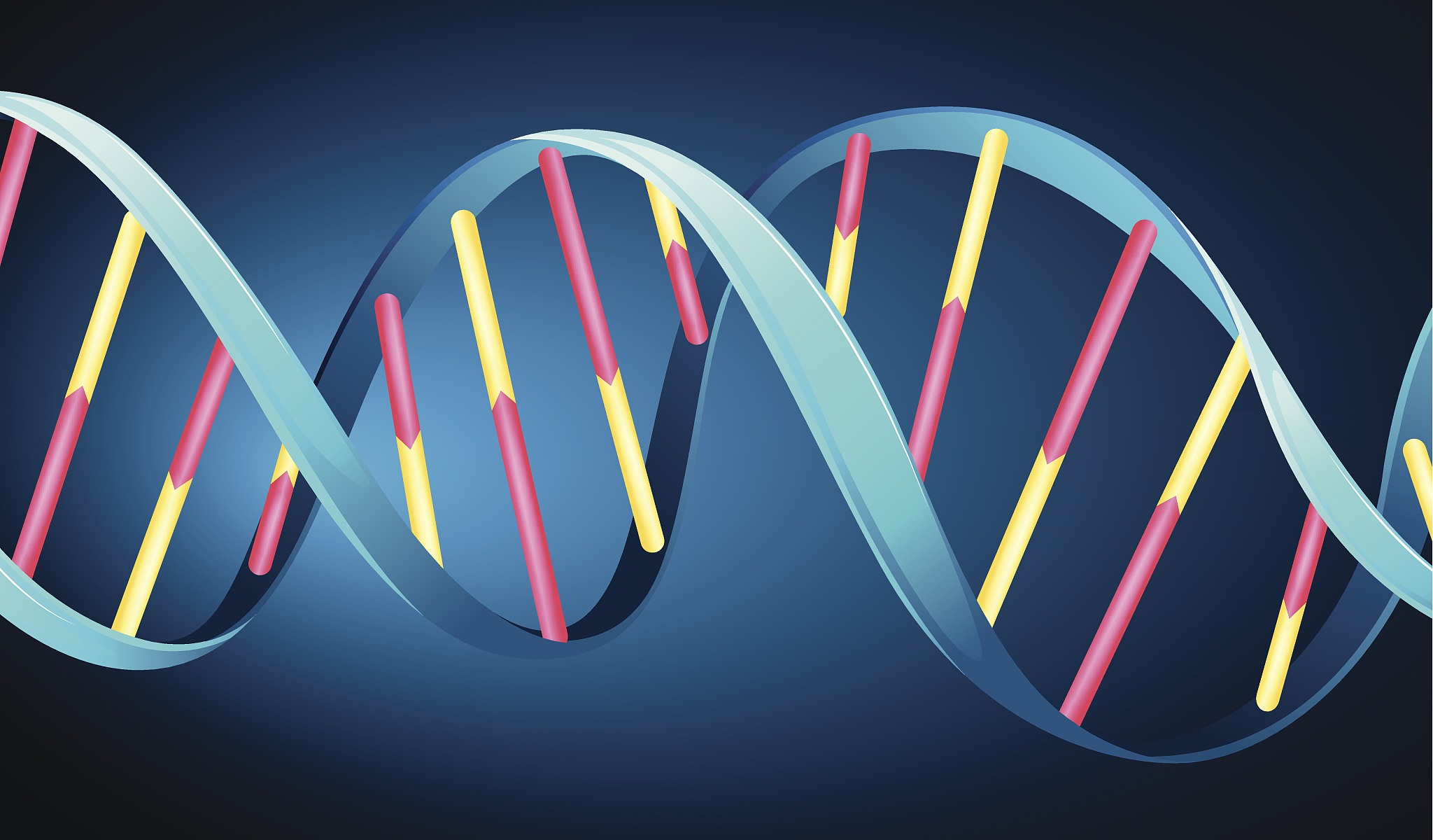 CuNP是在DNA上的什么碱基上合成