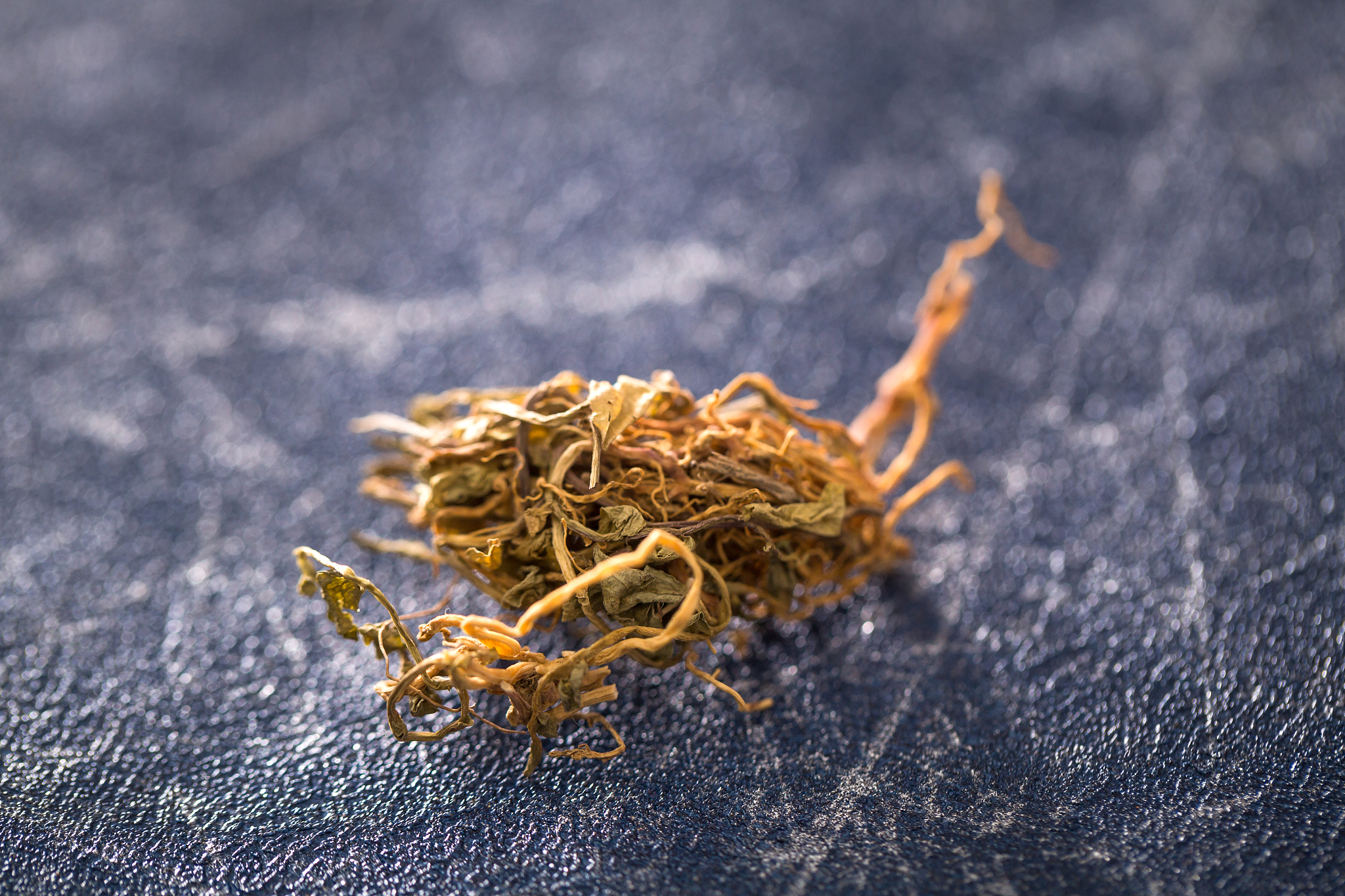 曲阜中医药学校2022招生简章