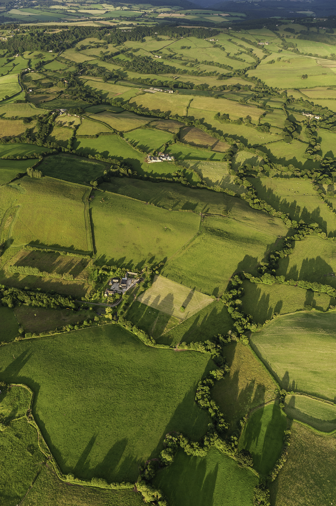 green fields farms summer pasture aerial view