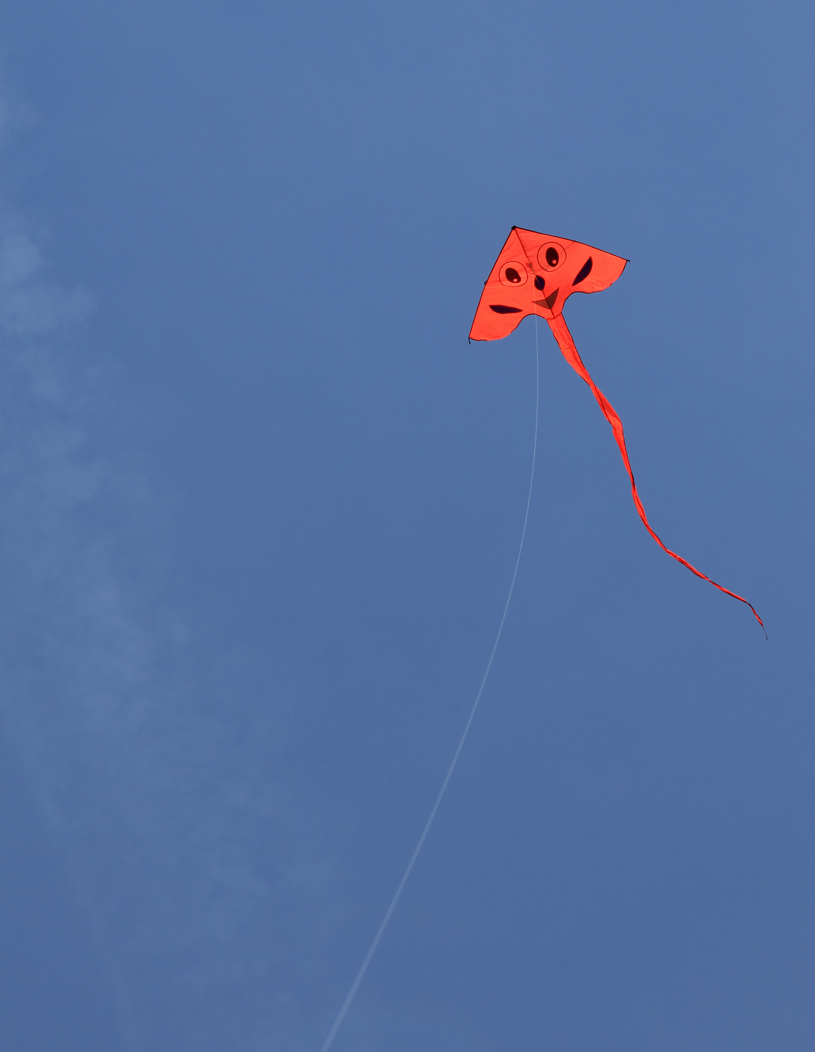 red kite in the sky