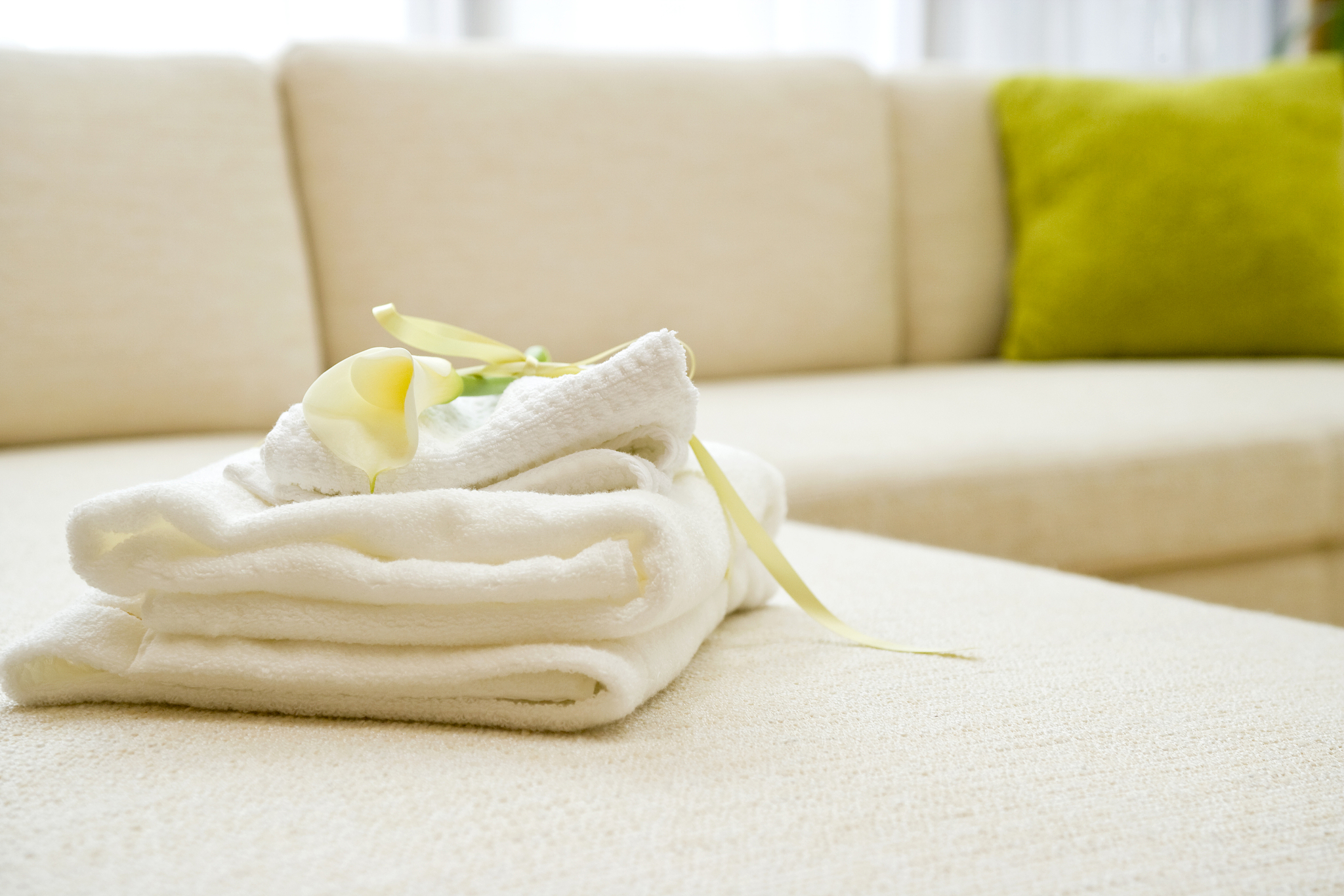 folded towels with lily on sofa