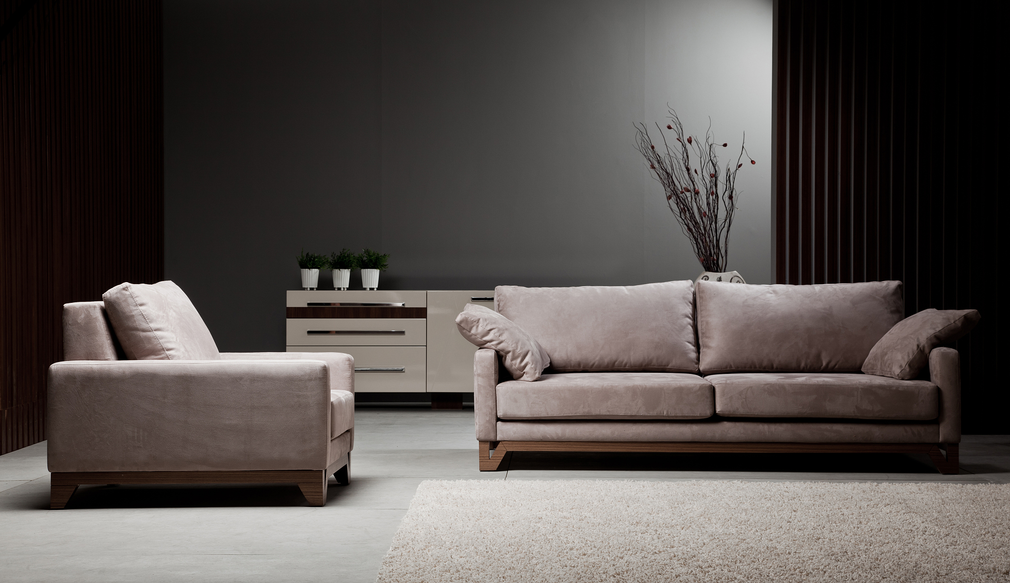 modern İnterior/ living room