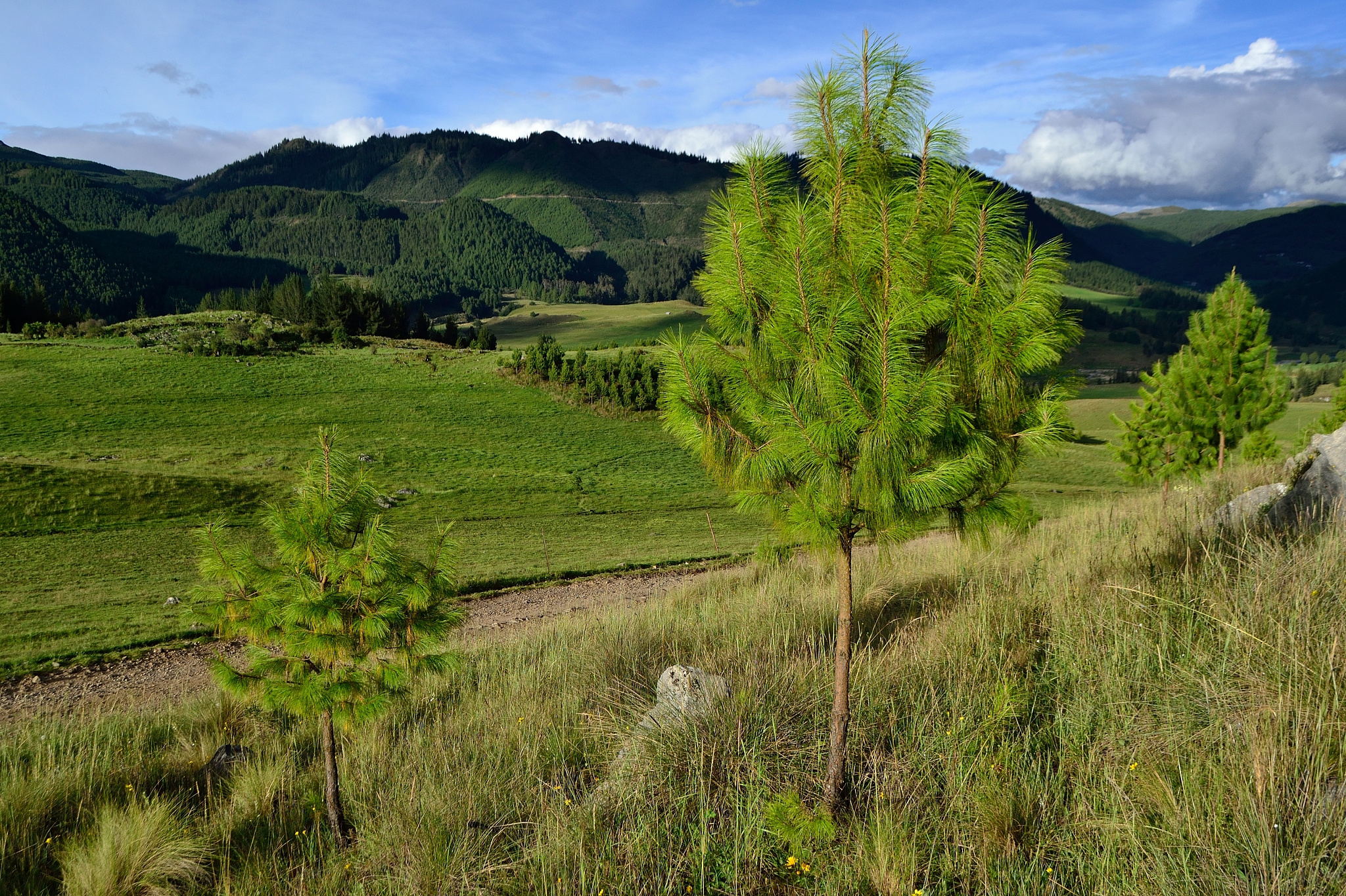 湖南都市职业学院工程造价专业就业前景如何