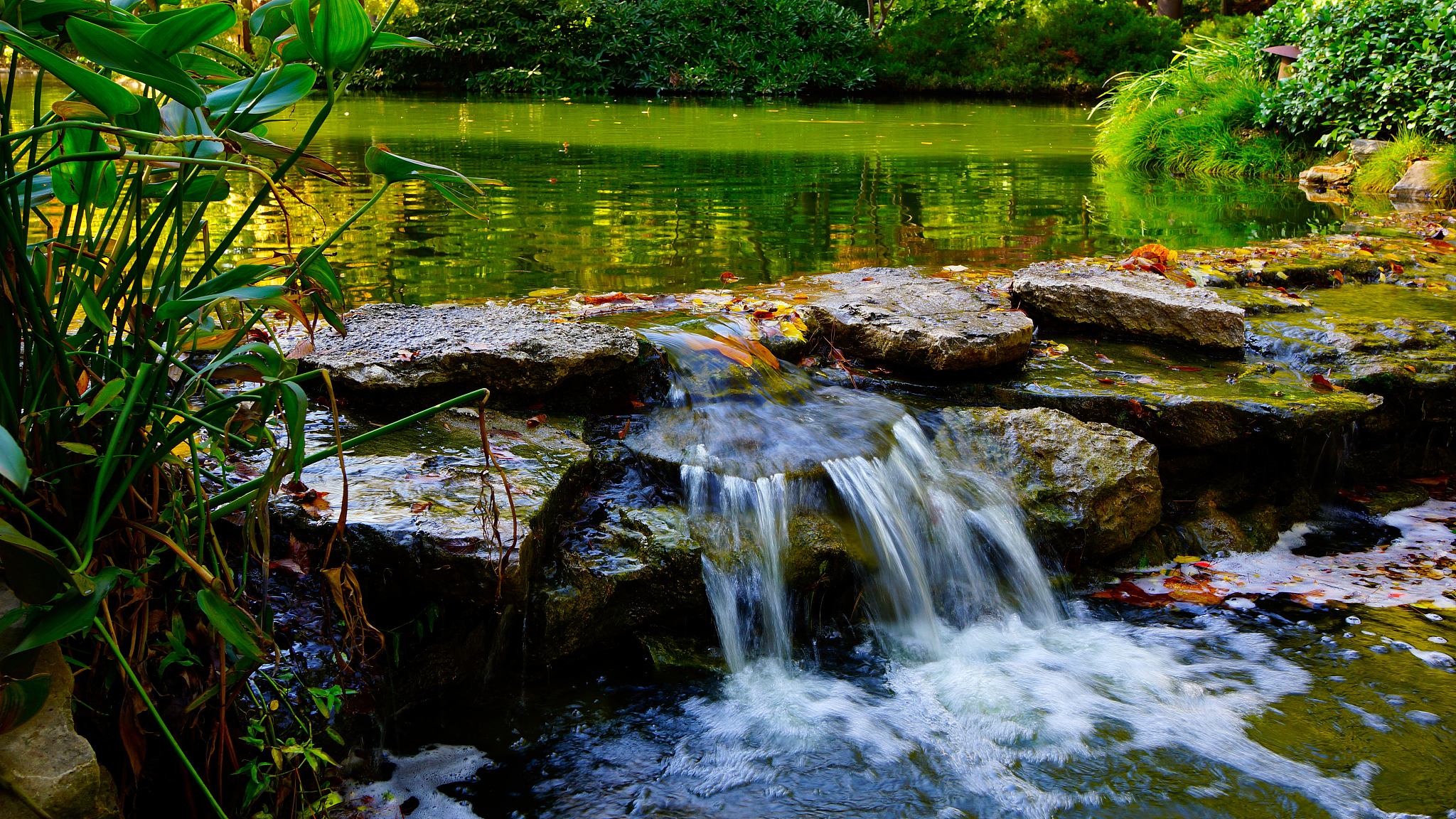 water pond