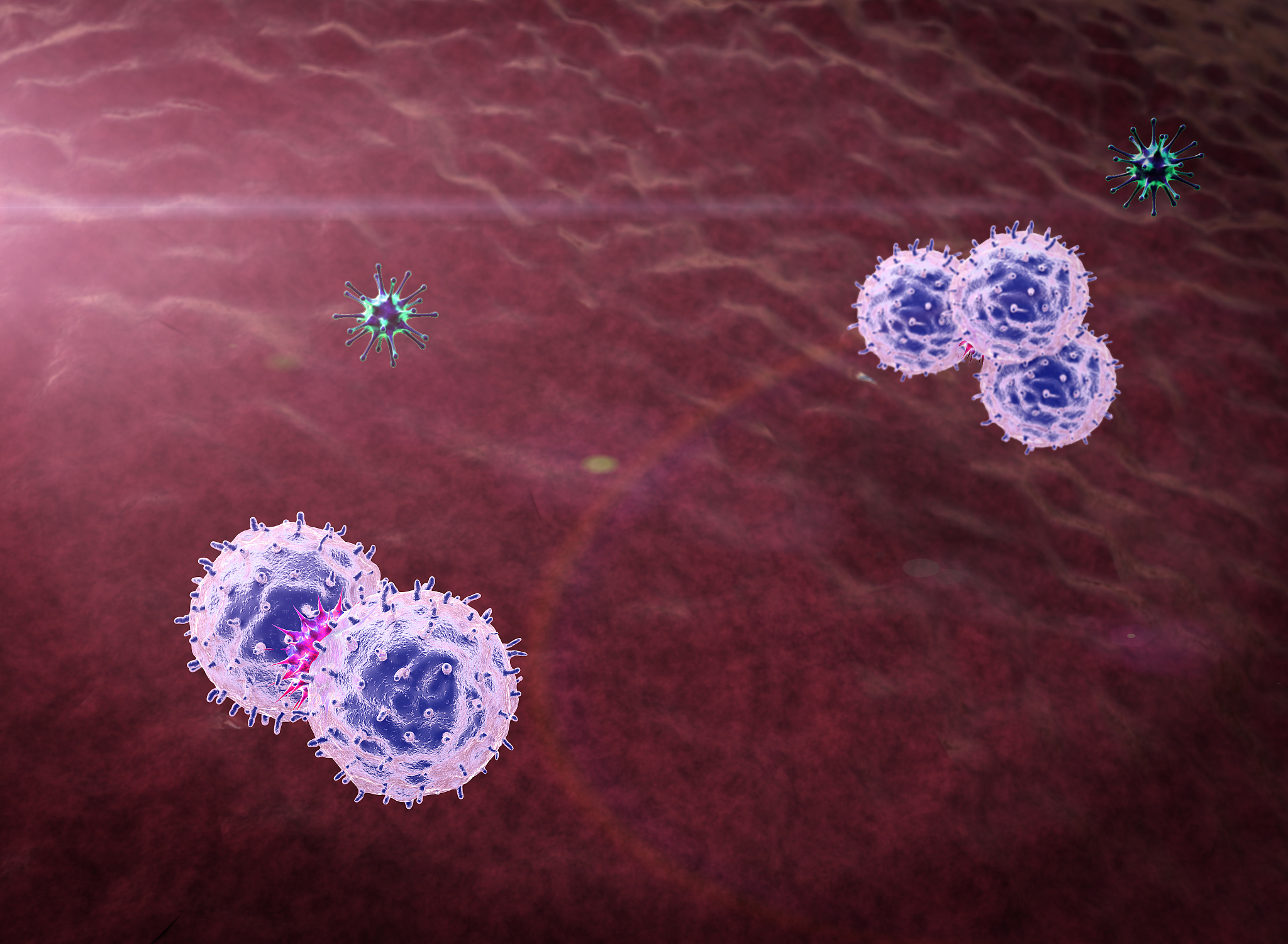 virus, immune mechanism