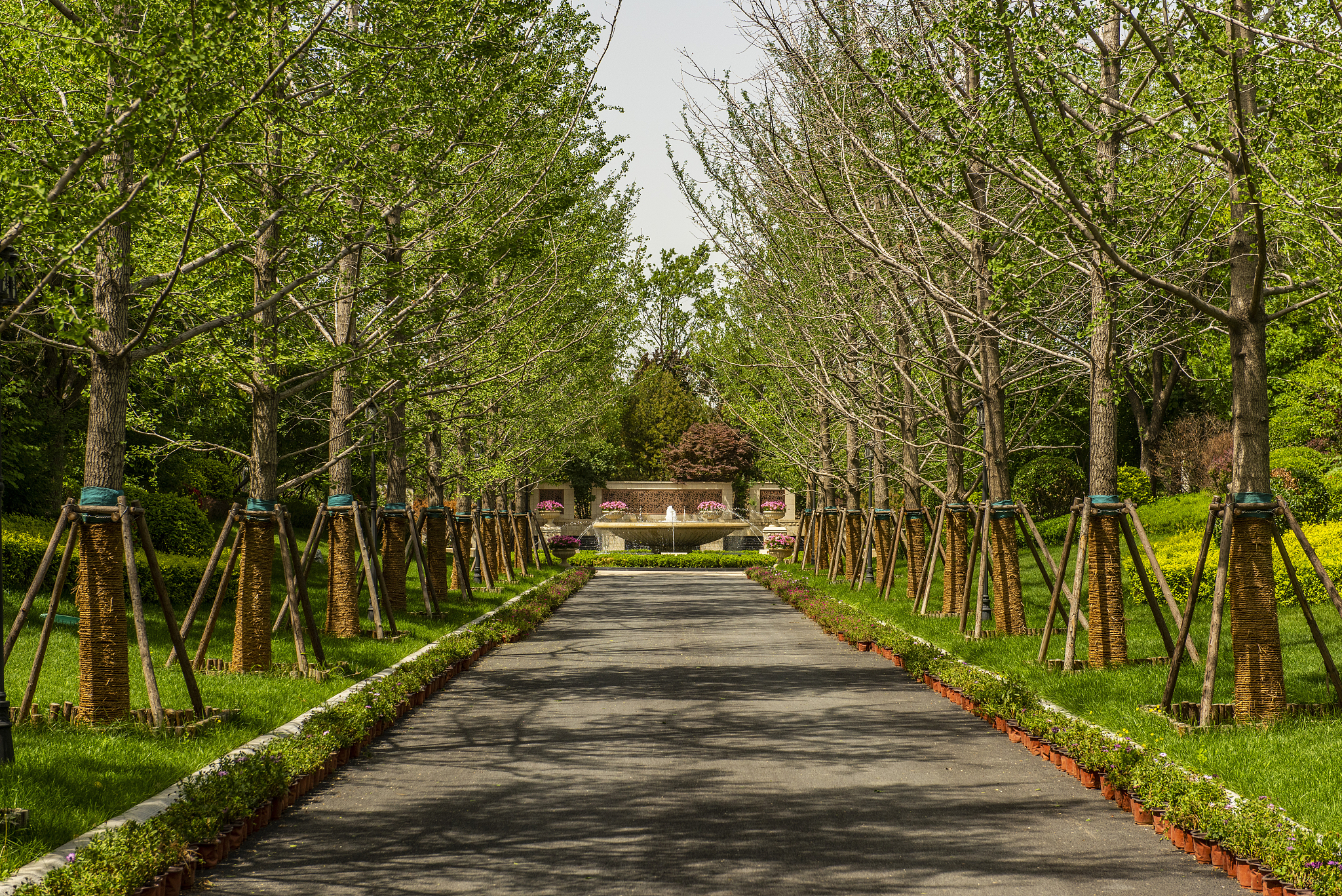 吉林大学的园艺专业行业前景