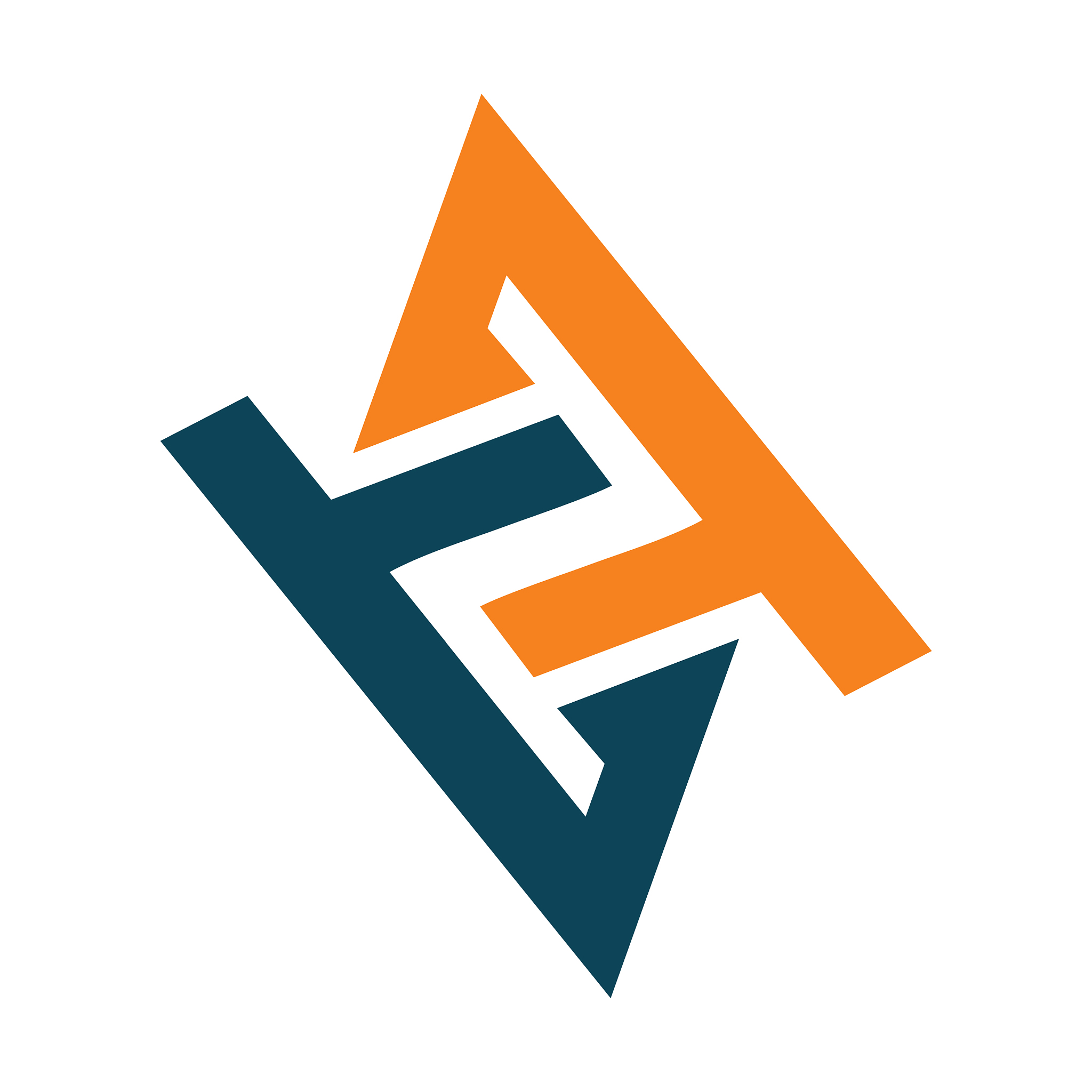ff bf fzf z bzf zff initial geometric letterlogo