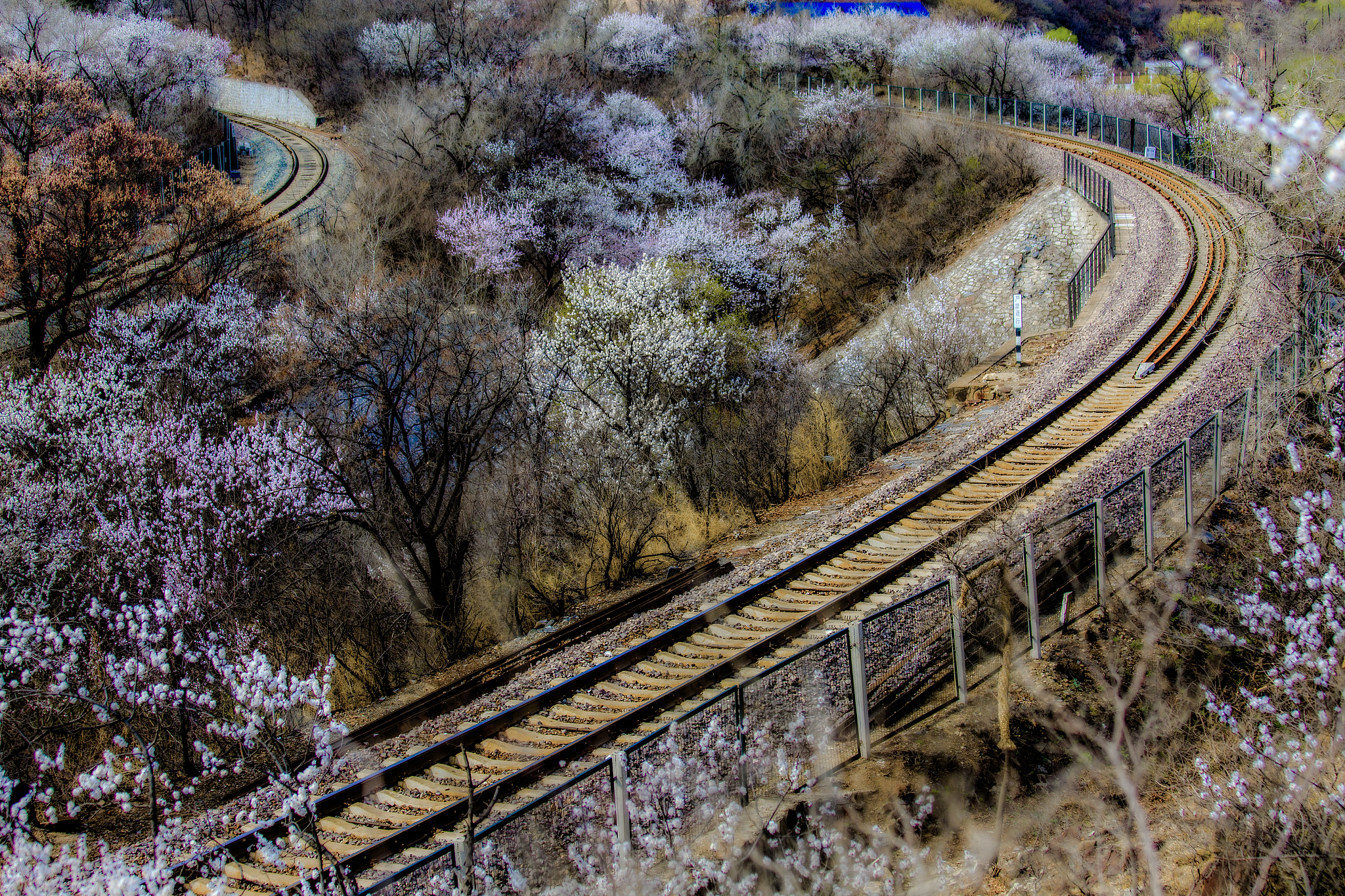 重庆铁路学院：高铁专业前景广阔，未来发展形势喜人