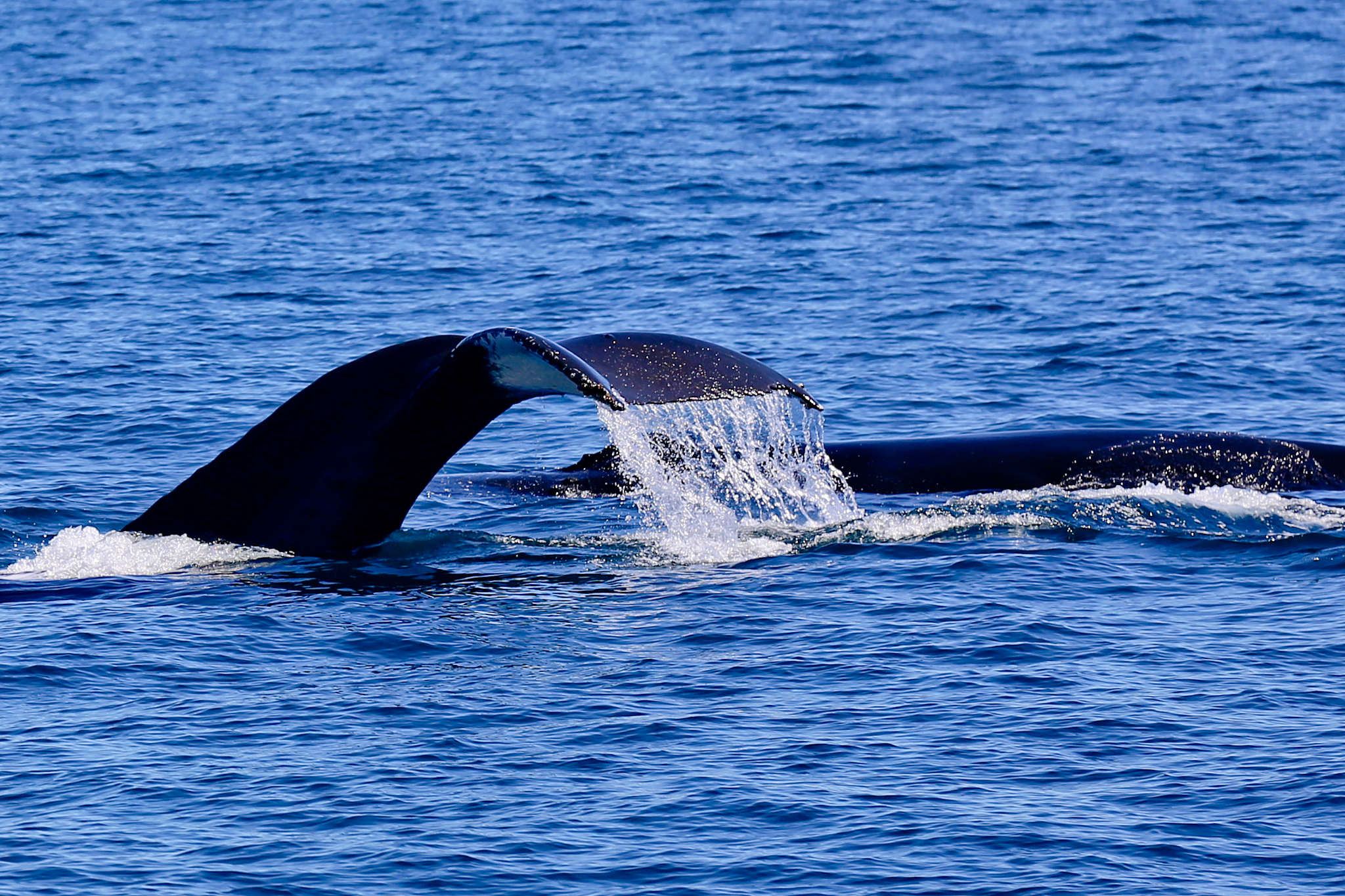 泸州海洋职业学校2021年招生专业有哪些