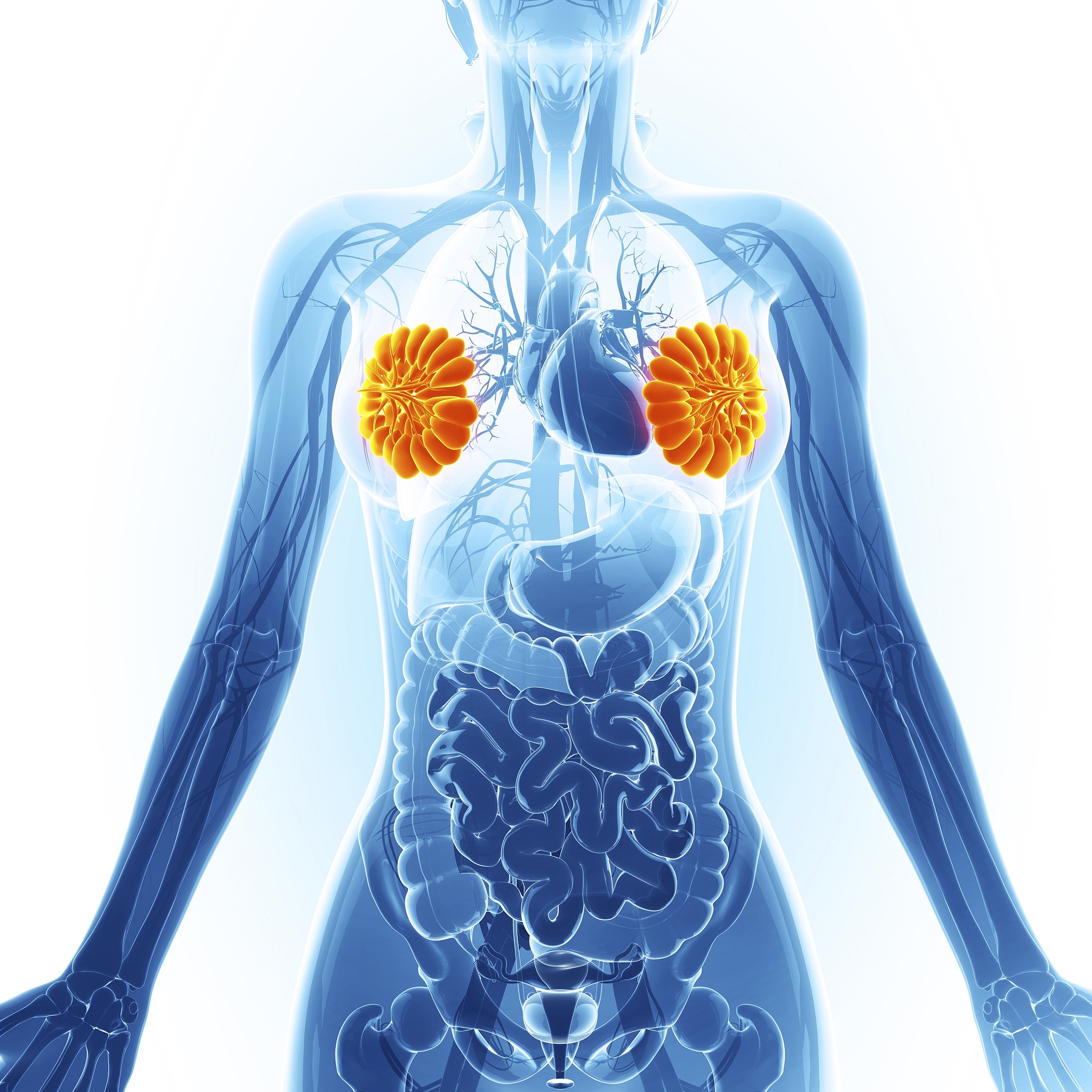 南京2023年中专女生适合什么专业？热门专业推荐