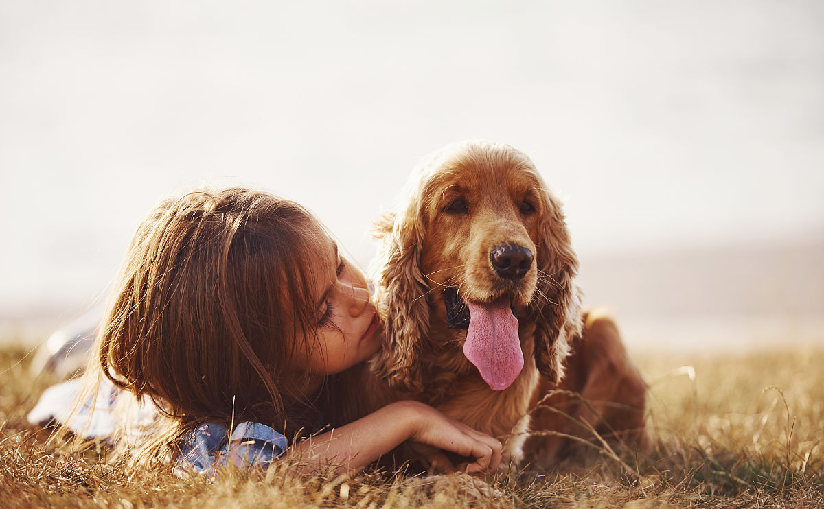 写一个狼王梦的读后感 一定要原创 一定不能少于1000字 并说出有多少字数