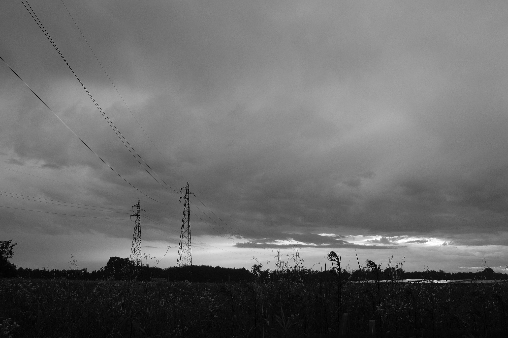 环境博士一般几篇文章啊回答加拓展。