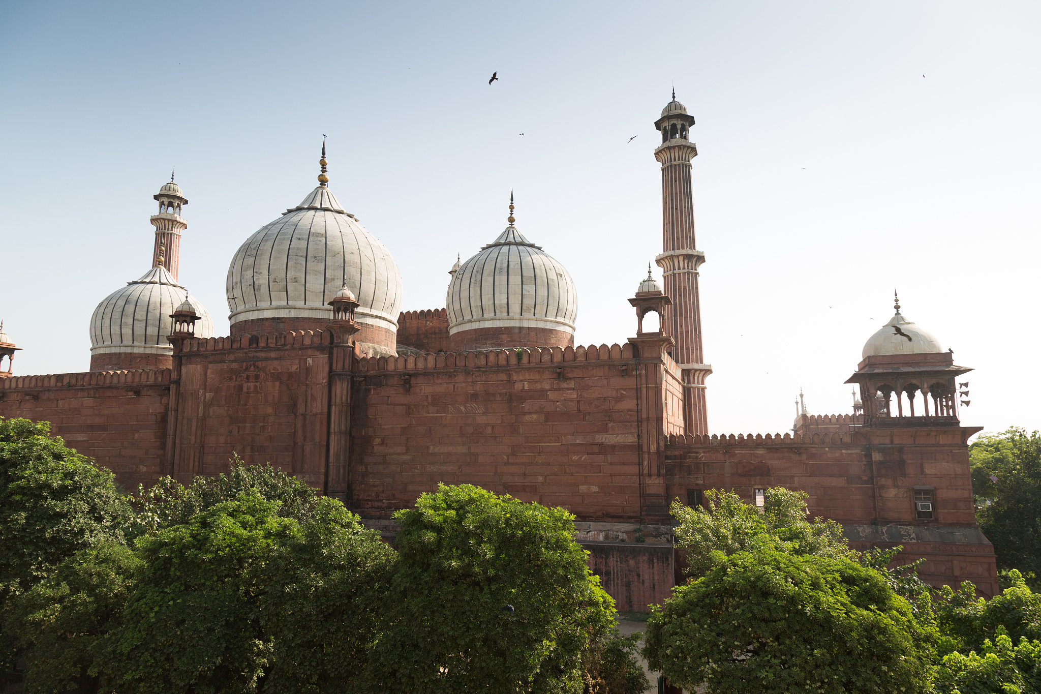 jama masjid mosque, old delhi, india.