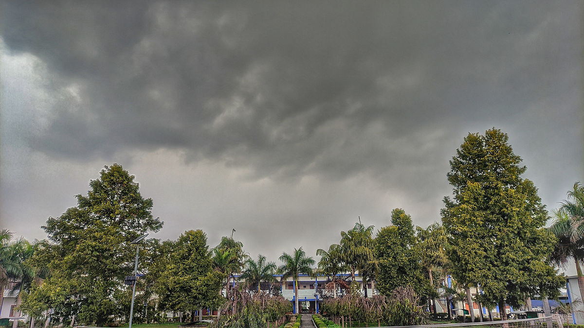 大连理工大学城市学院物流管理专业怎么样