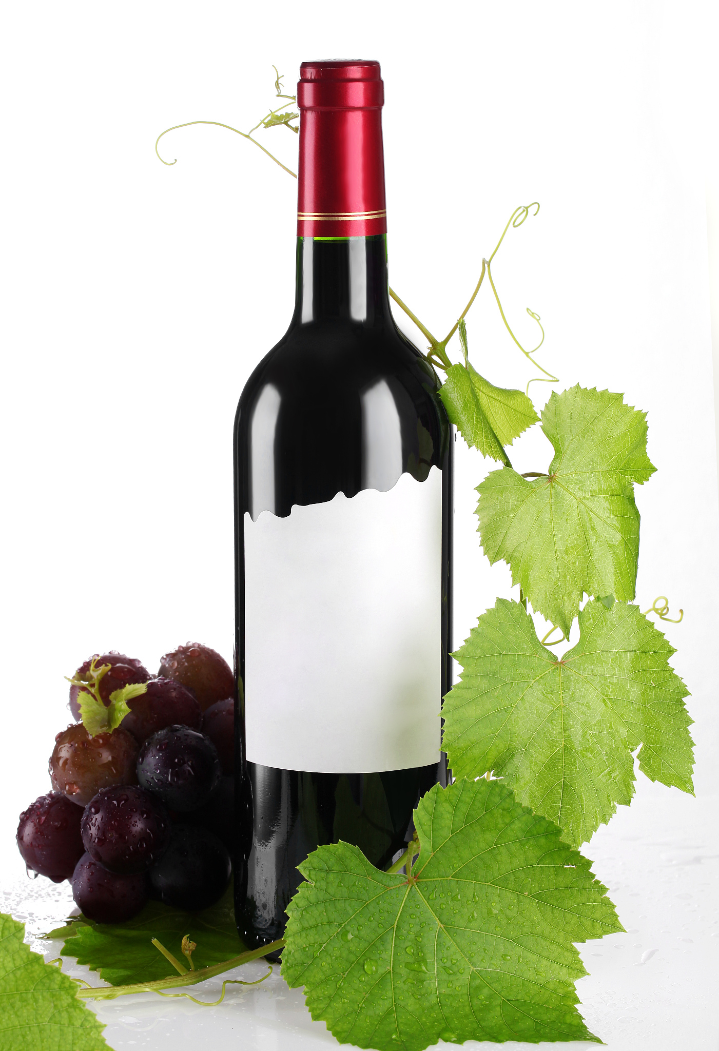 原瓶进口扬博尔villayambol庄园赤霞珠干红葡萄酒750ml、美酒配佳节、保加利亚 写一个标题和一遍文章