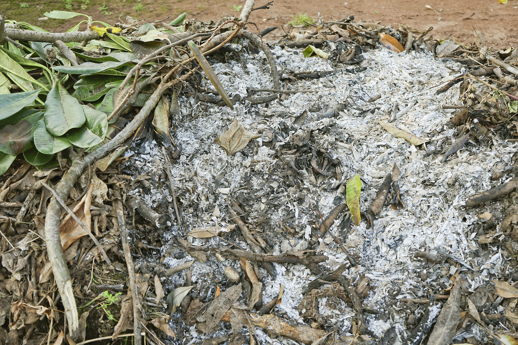2延安市宝塔区地区农田鼠害情况	221鼠害发生情况	222农田鼠害防治现状	323鼠害的危害	33延安市宝塔区春季农田鼠害多发的原因	431 有利的气候条件	432 食物充足	433鼠类繁殖速率快	534 鼠类天敌不足	54延安市宝塔区春季农田鼠害防治策略建议	641加强鼠害监测加大鼠害防治宣传	642规范鼠药销售和使用	643 推广毒饵站技术	744强化农田管理开展鼠害综合防治	7你正在撰写论文